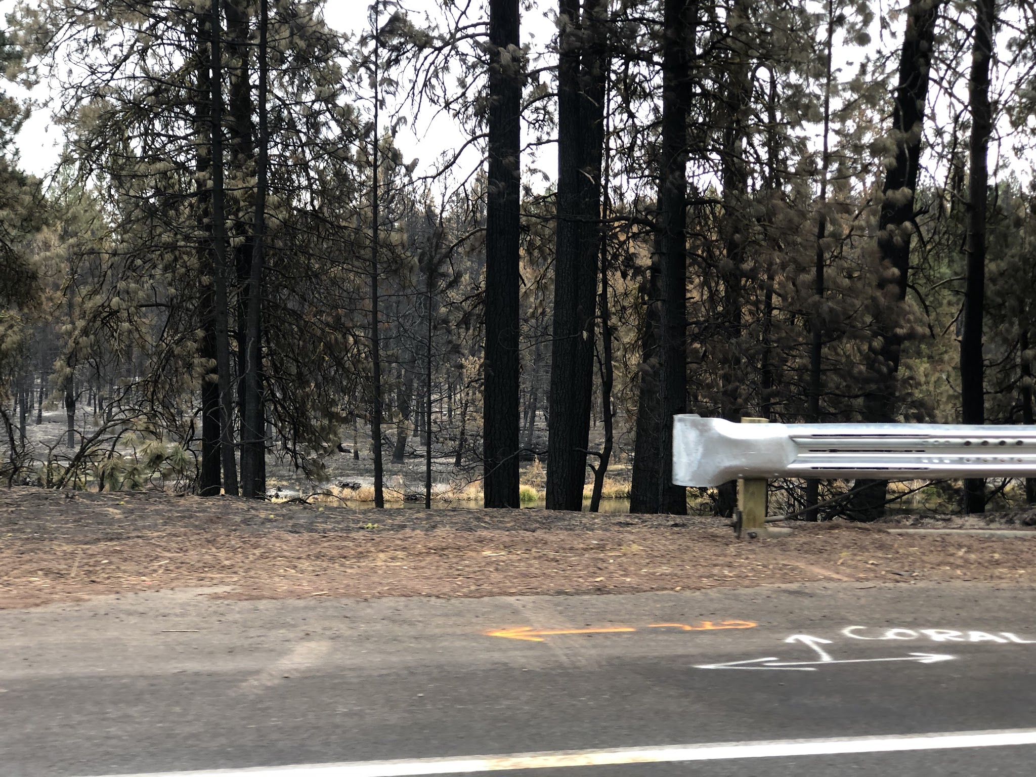 Collier Memorial State Park