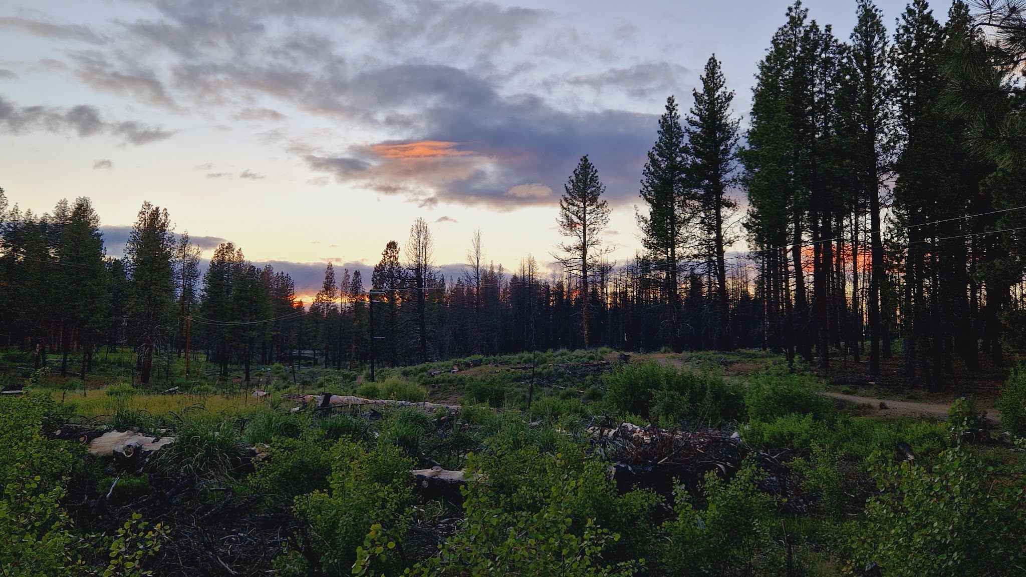 Collier Memorial State Park