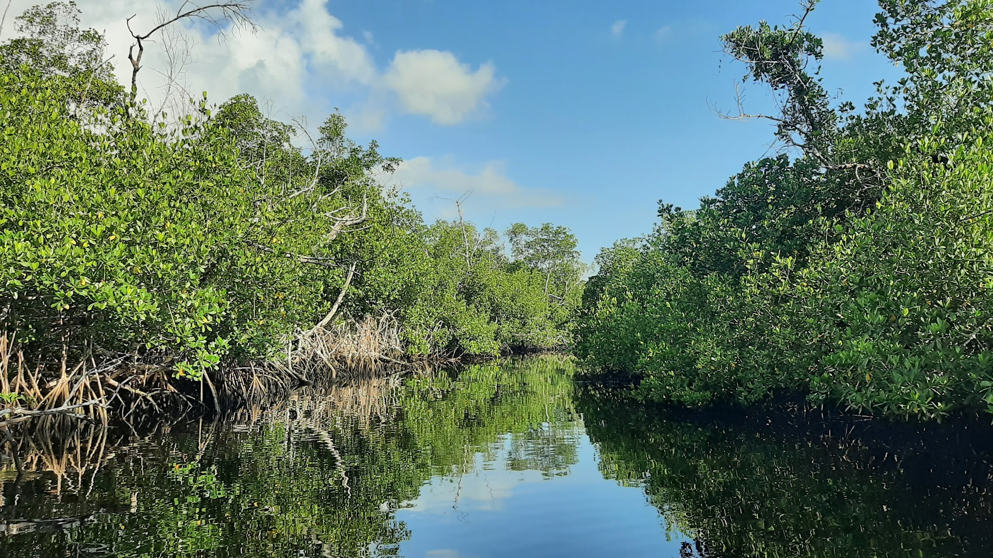 Collier-Seminole State Park Campground