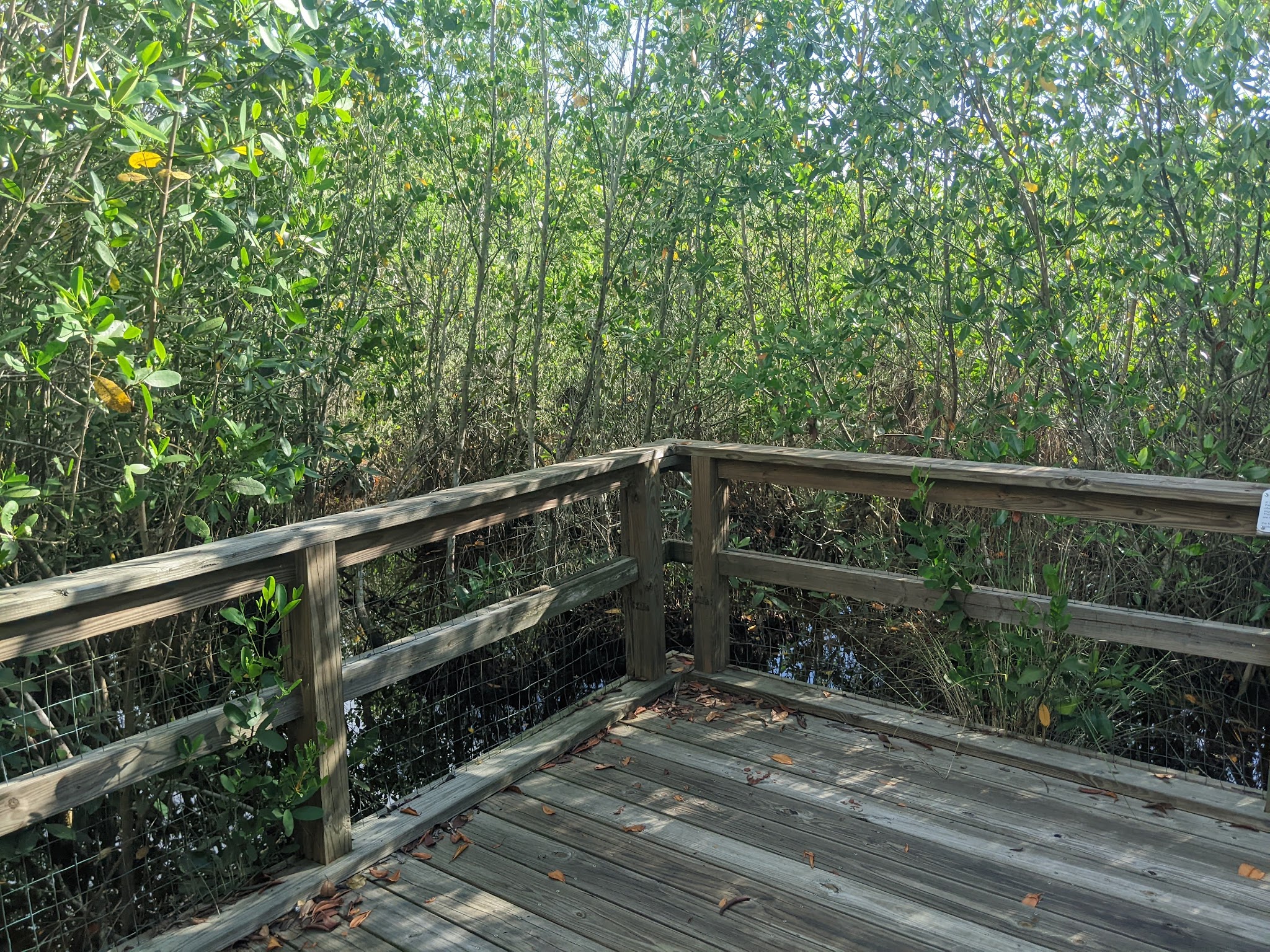 Collier-Seminole State Park Campground