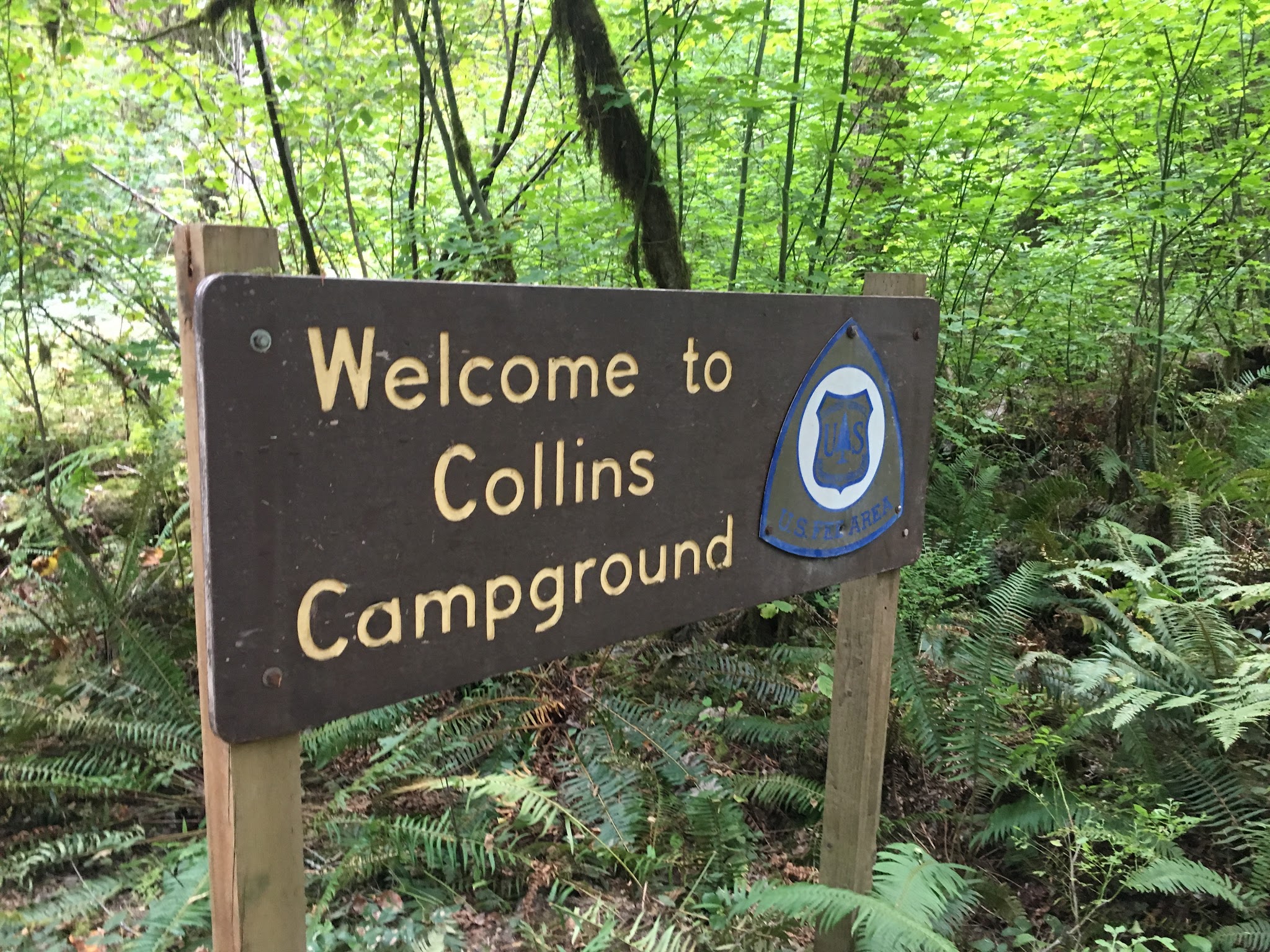 Collins Campground