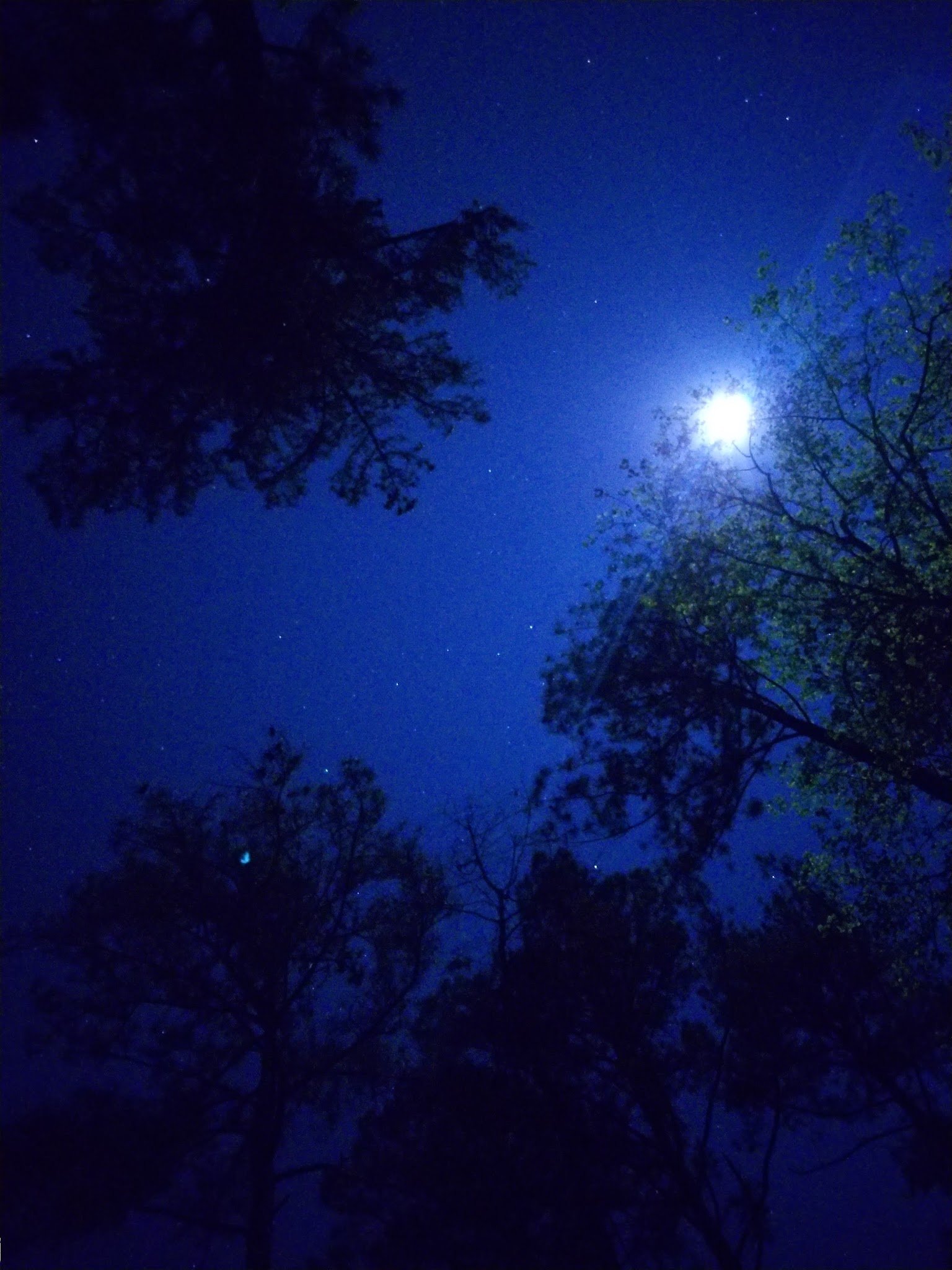 Collins Creek Seasonal Campground (Sc)