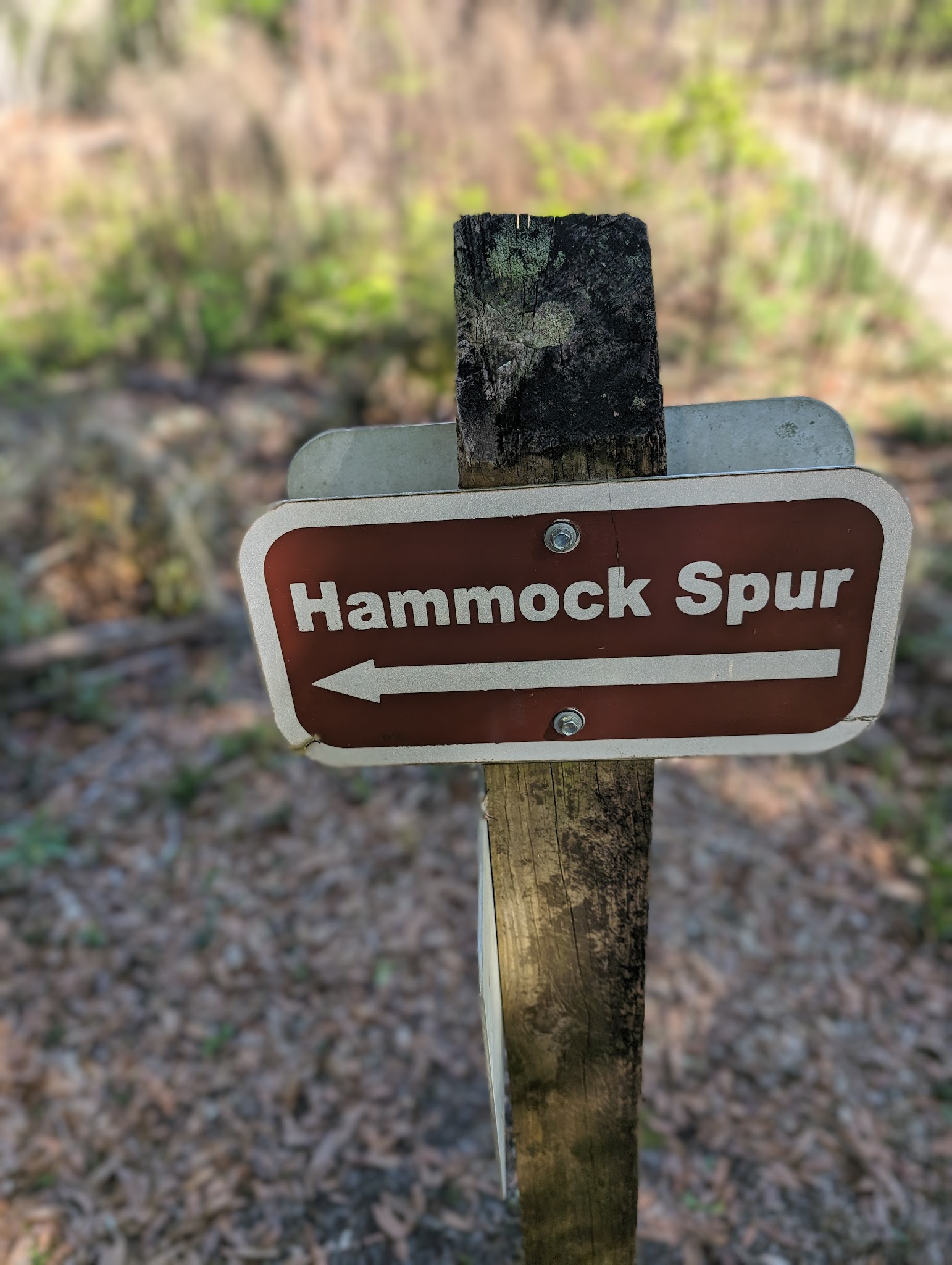 Colonel Robins Group Area Withlacoochee State Forest