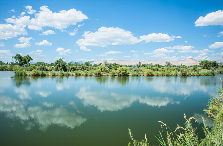 James M Robb-Colorado River State Park-Fruita Section