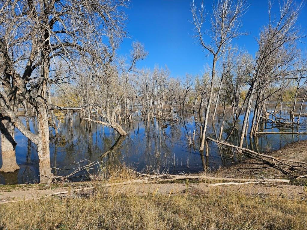 Chatfield State Park