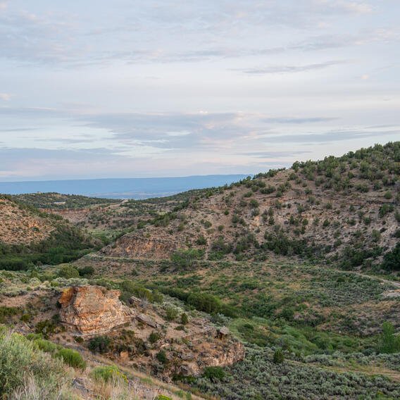 Crawford State Park