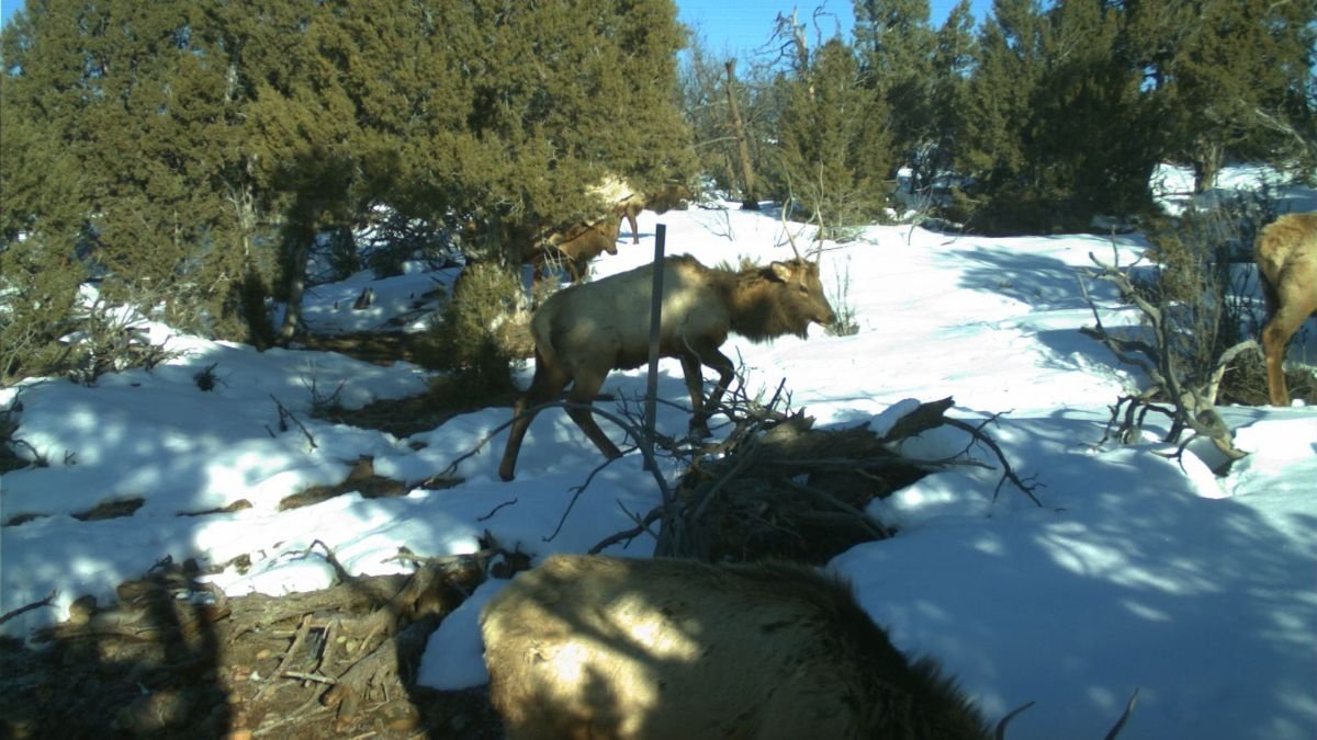 Jumbo Reservoir State Wildlife Area