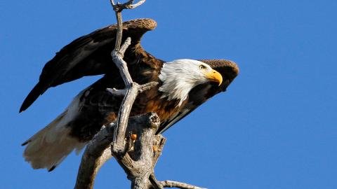 Lory State Park