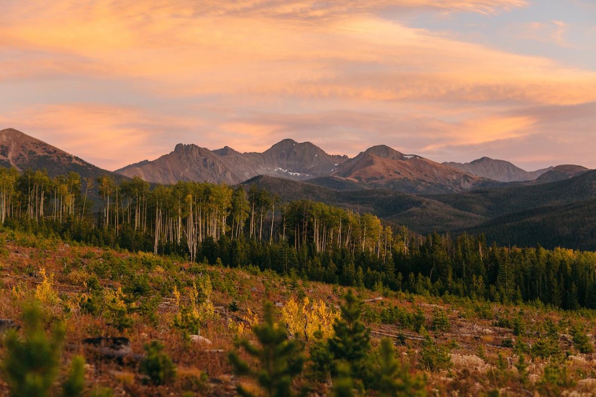State Forest State Park