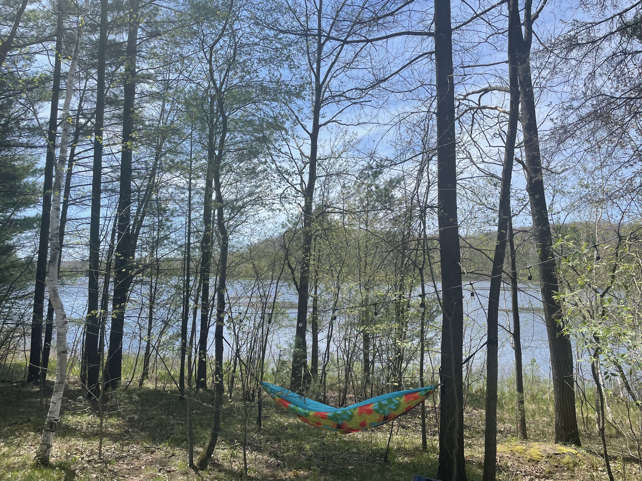 Long Lake State Forest Campground  (Wexford)
