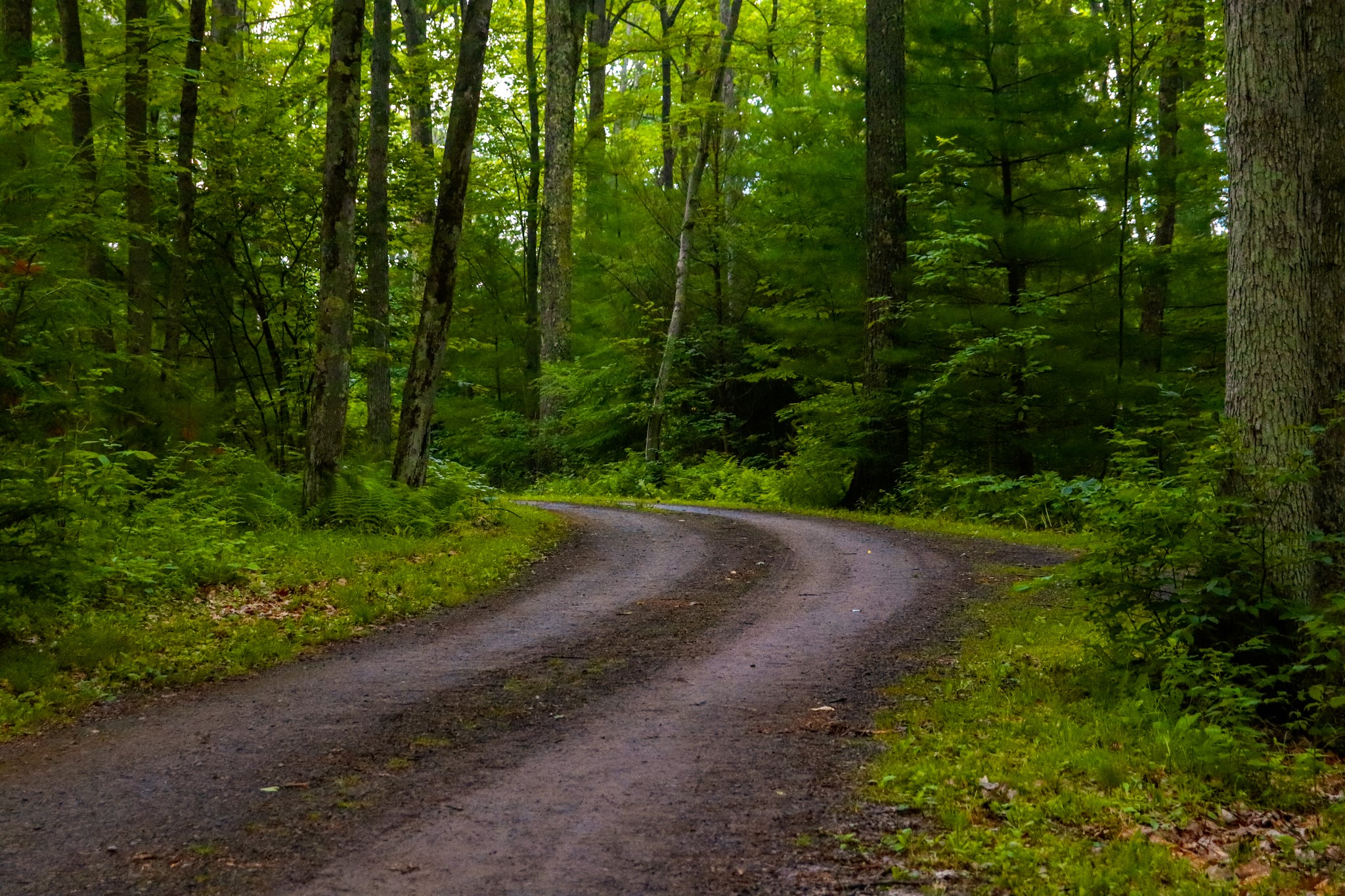 Colton Point State Park