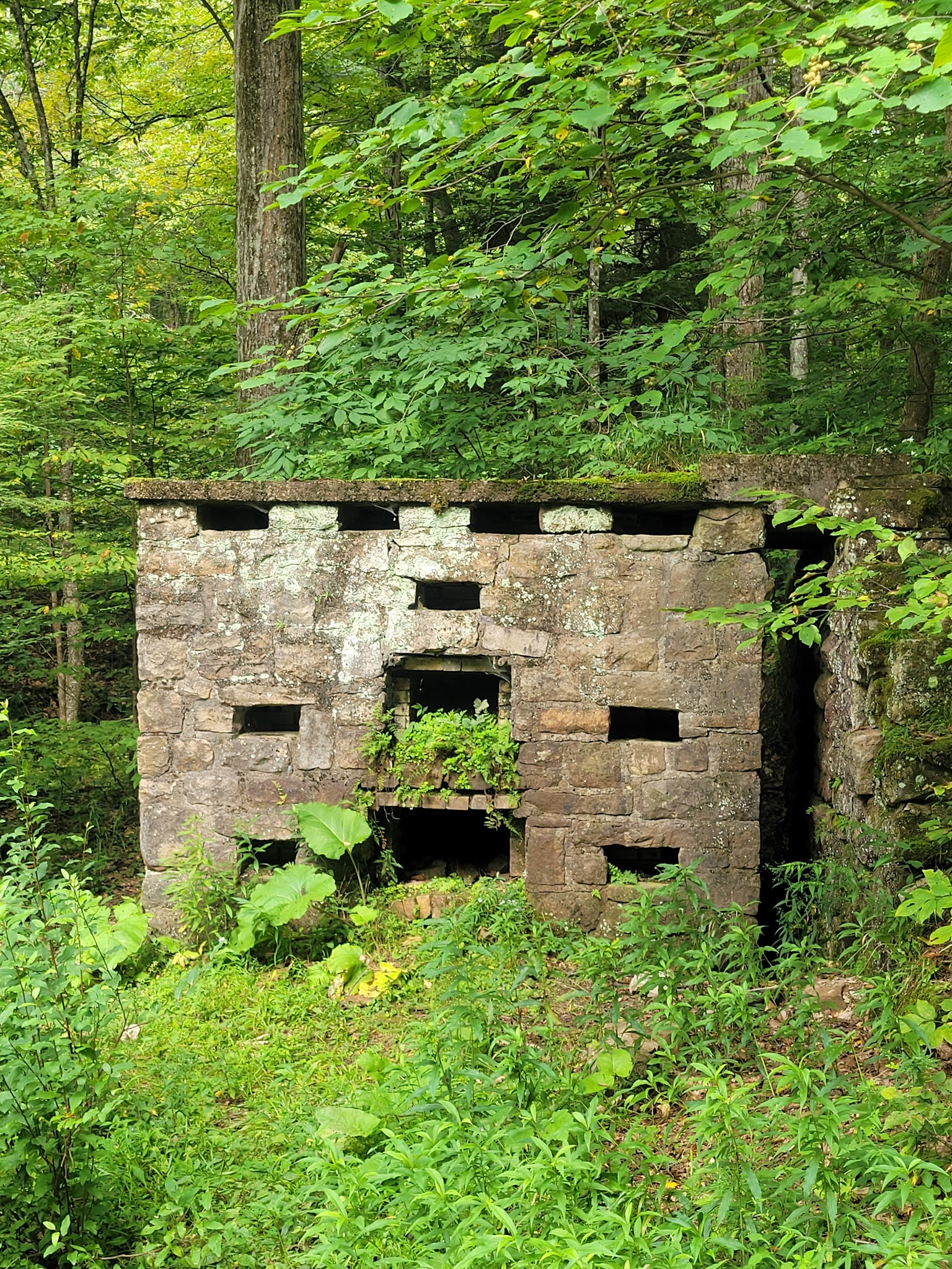 Colton Point State Park