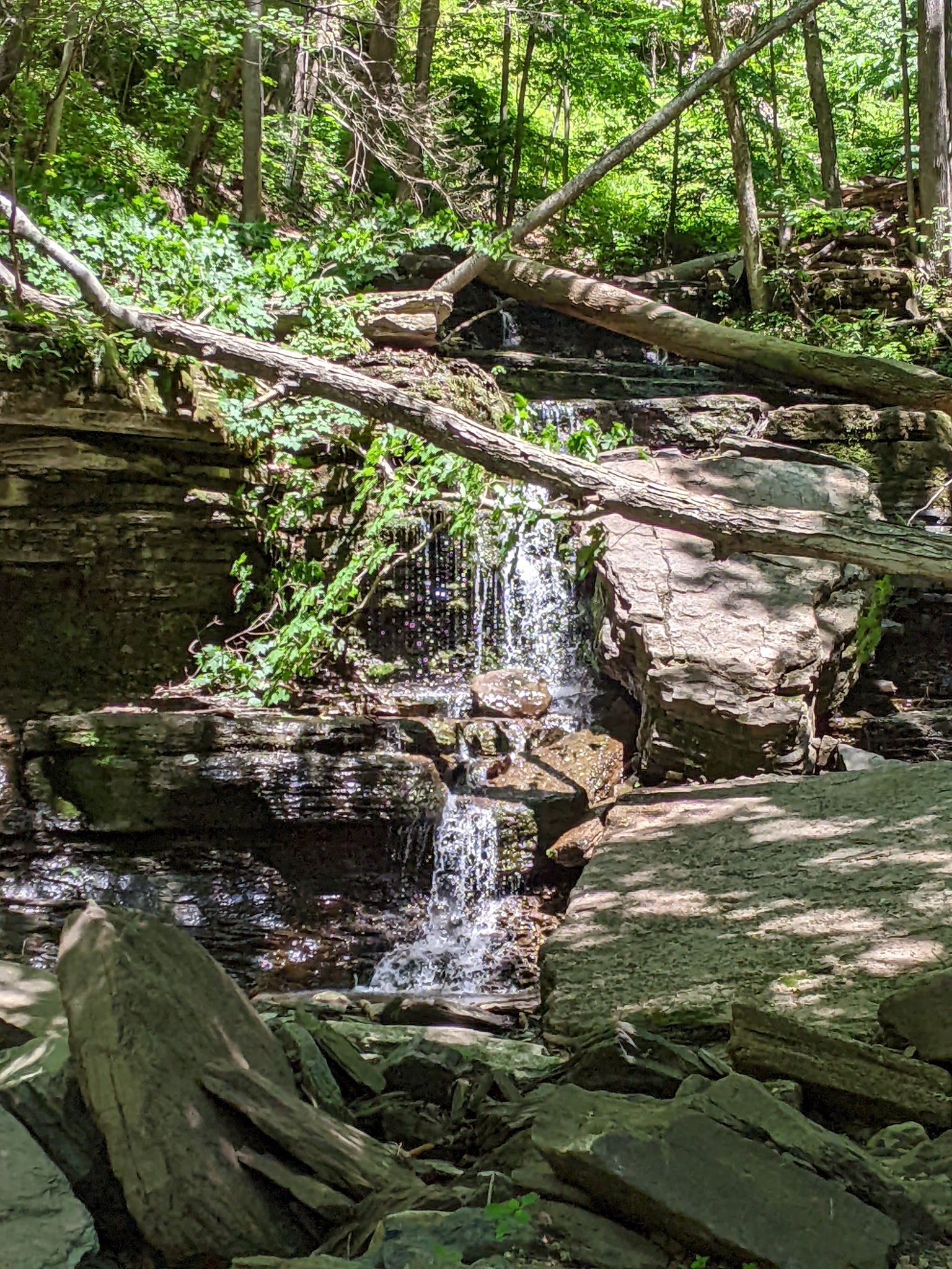 Colton Point State Park