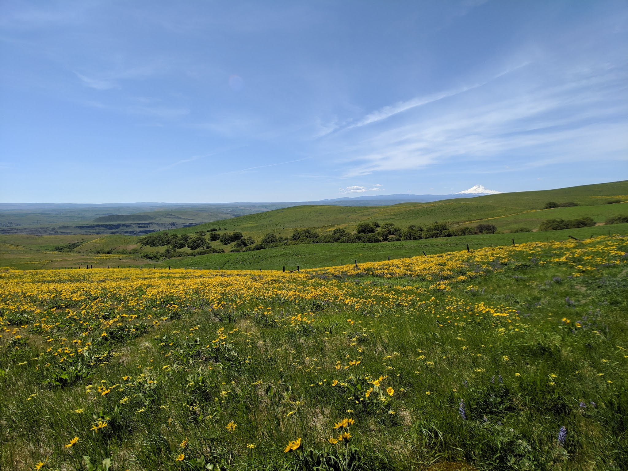 Columbia Hills State Park