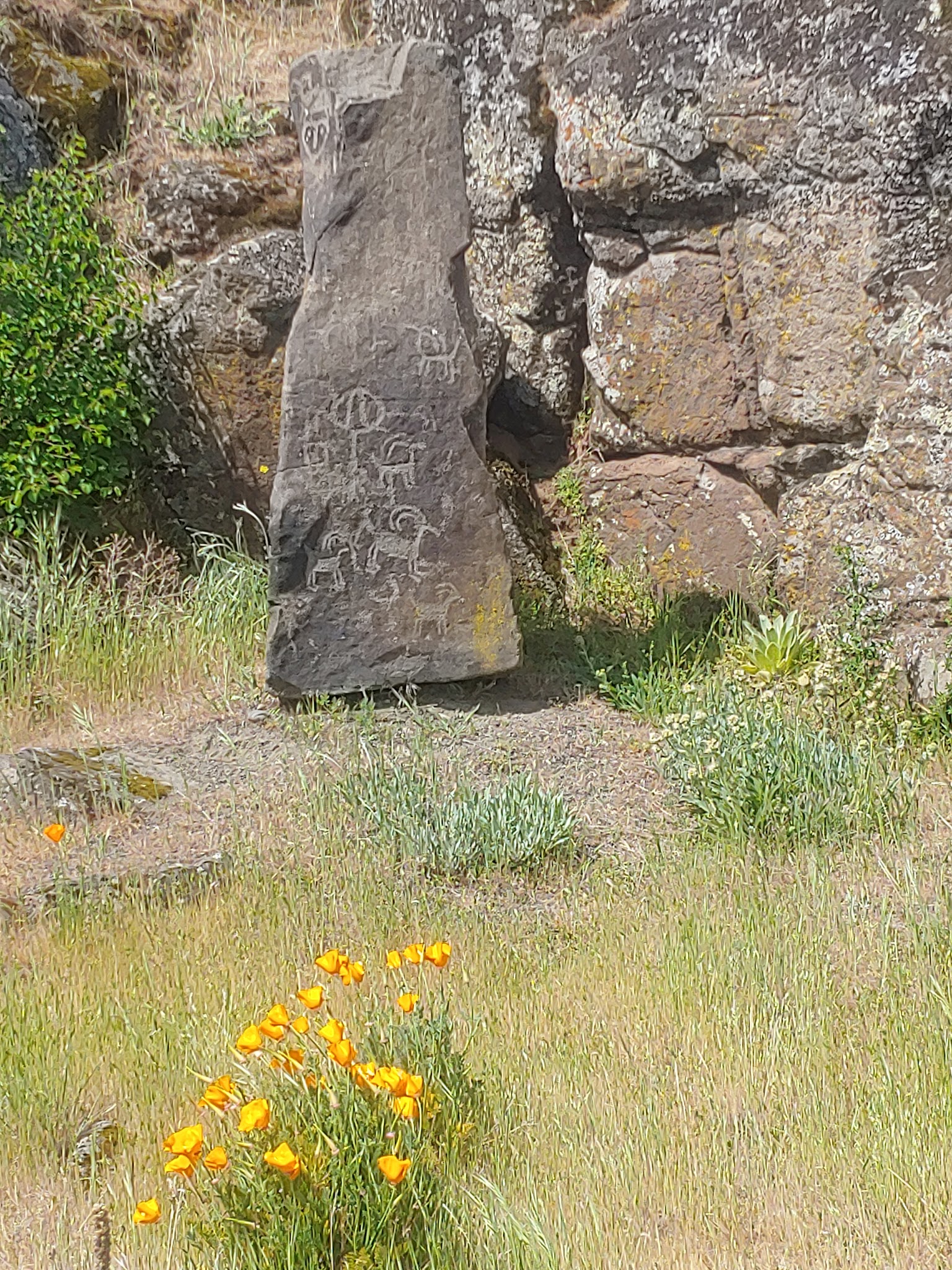 Columbia Hills State Park