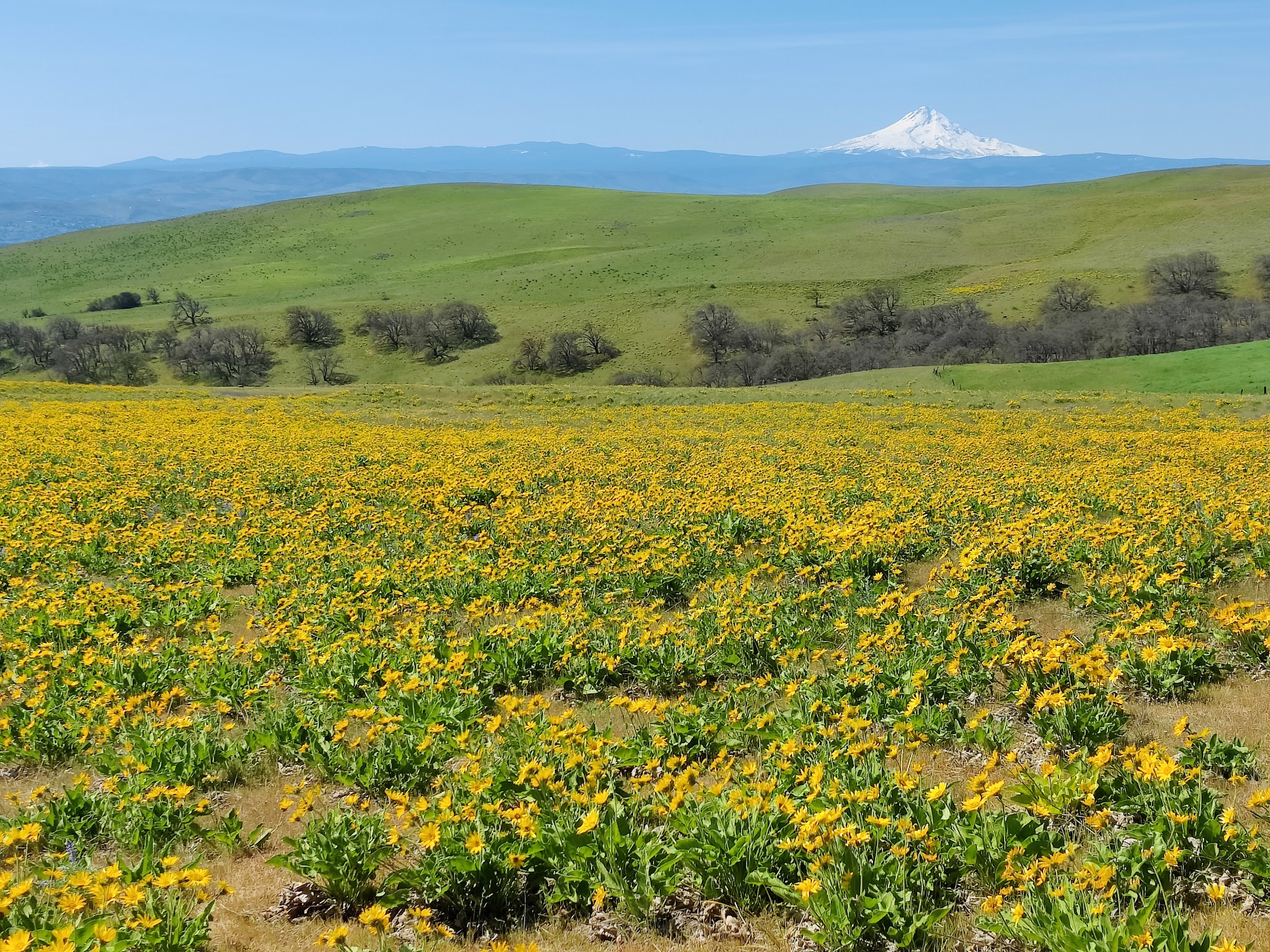 Columbia Hills State Park