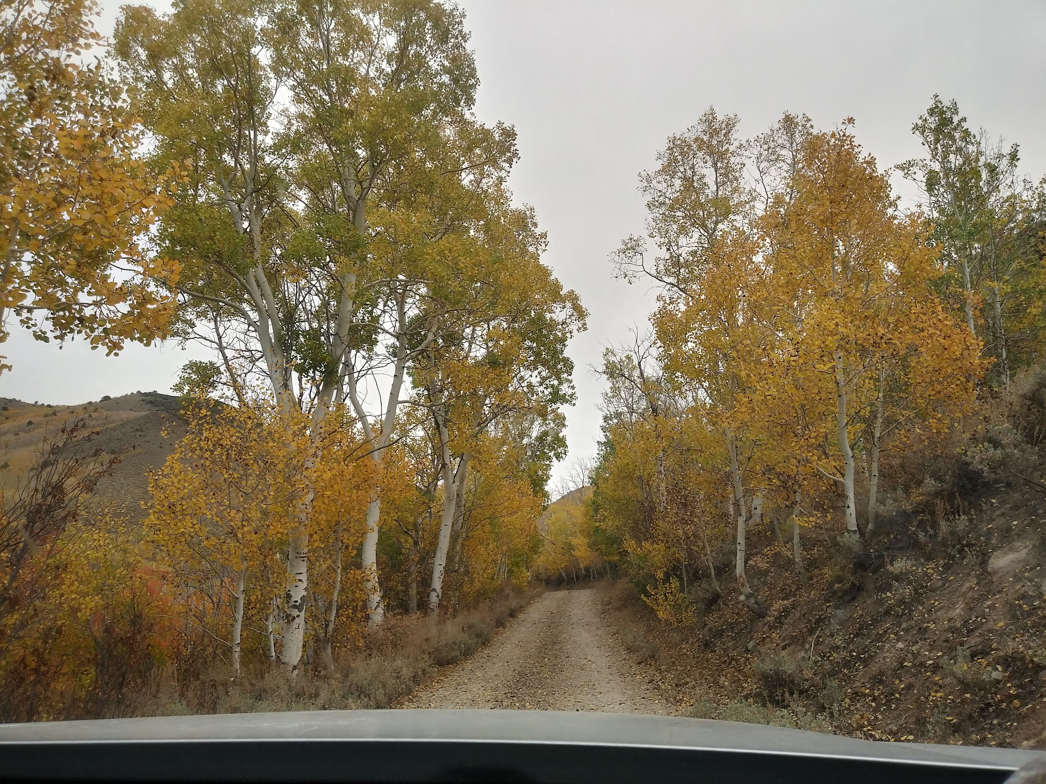 Columbine Campground