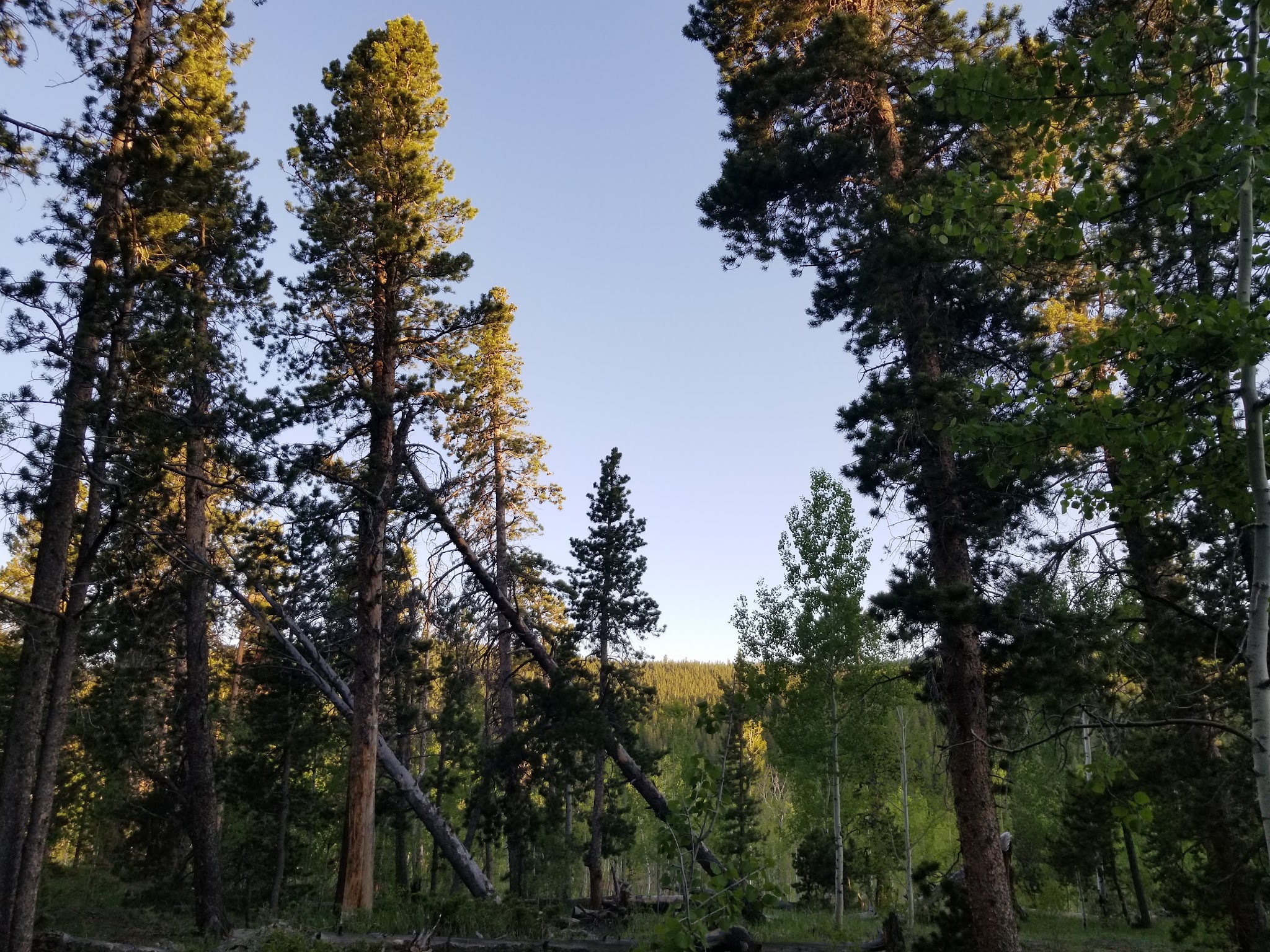 Columbine Campground