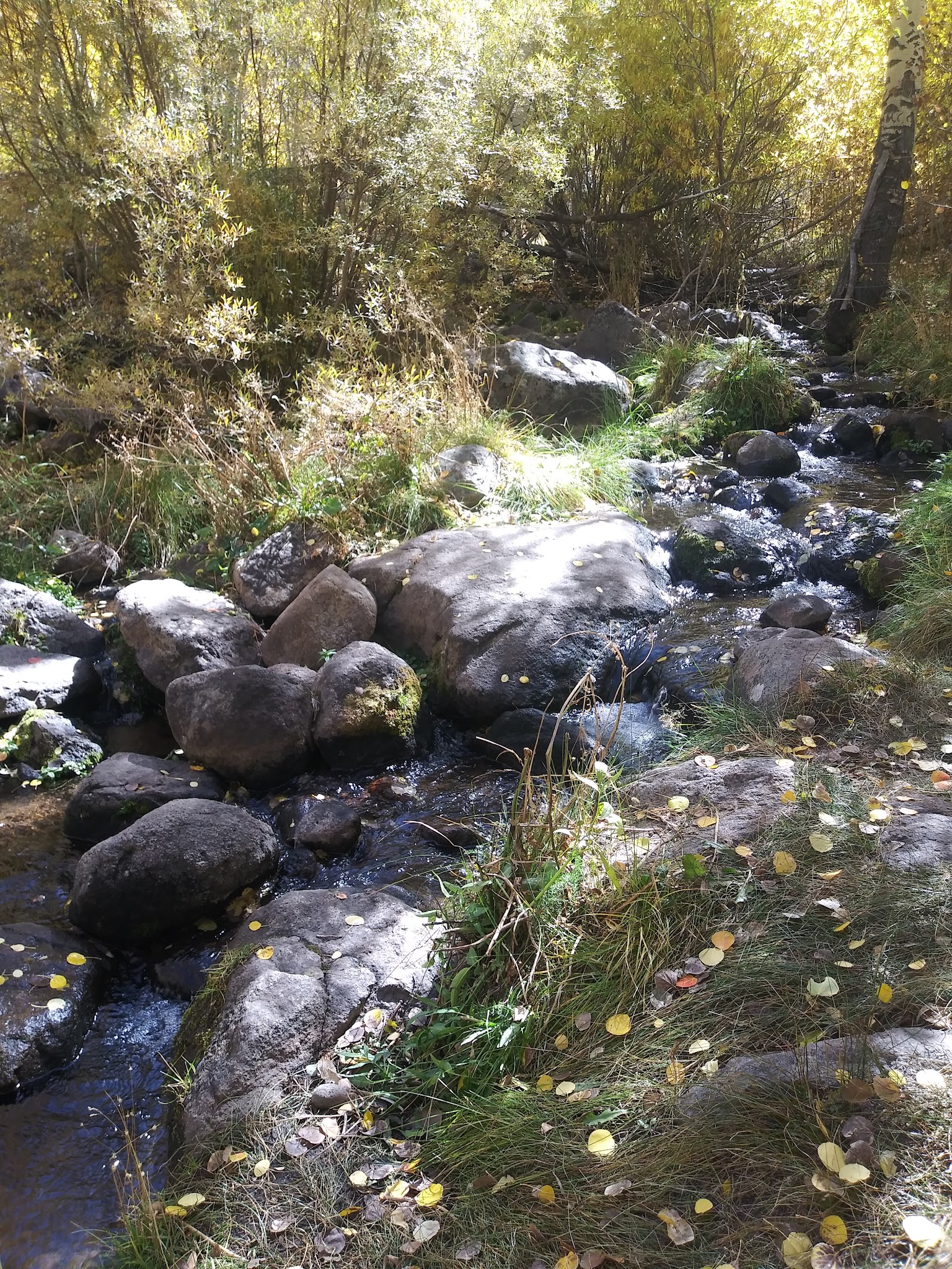 Columbine Campground
