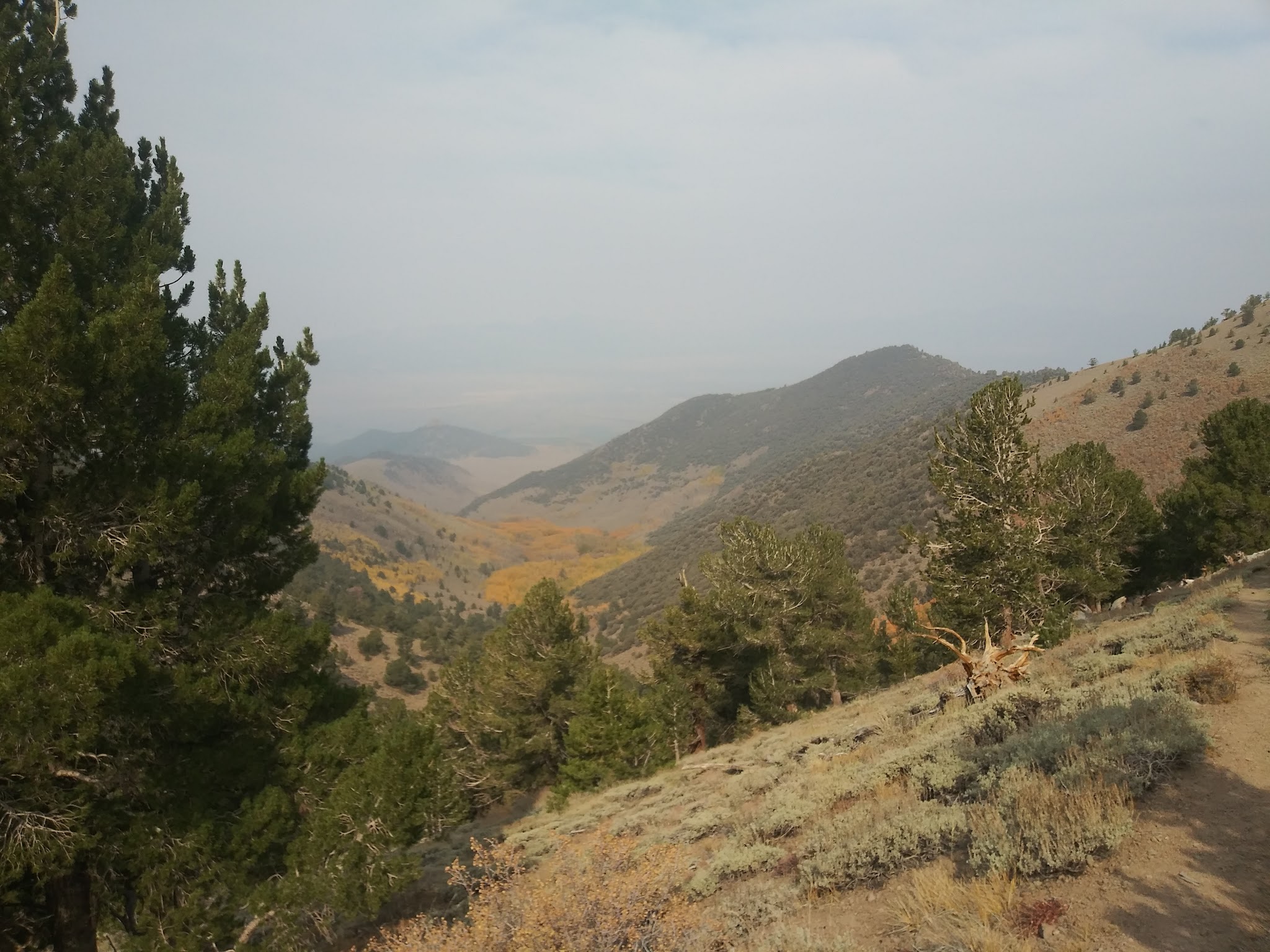 Columbine Campground