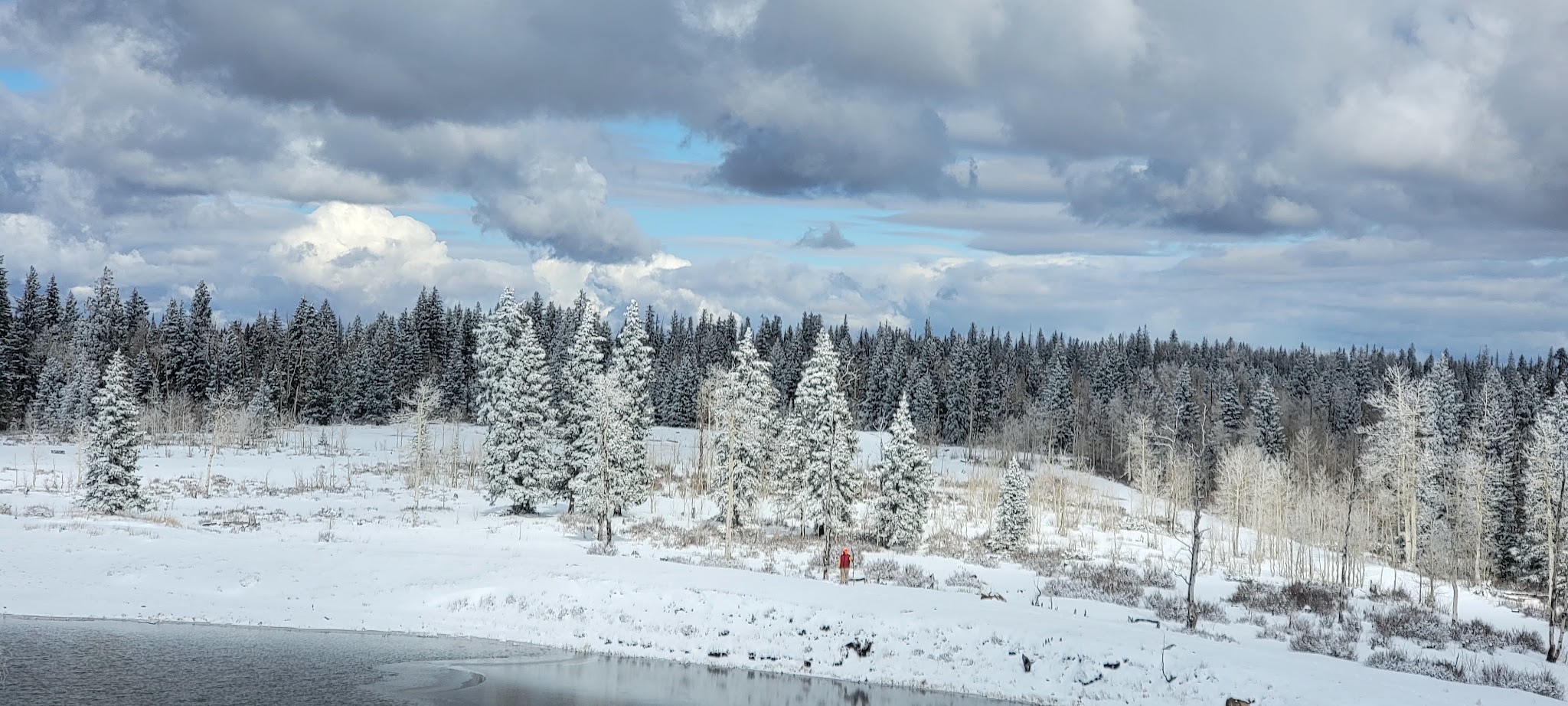 Columbine Campground - Ouray Rd