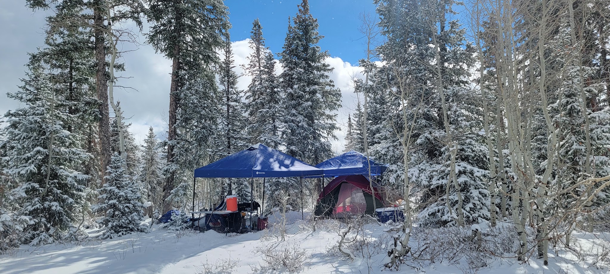 Columbine Campground - Ouray Rd