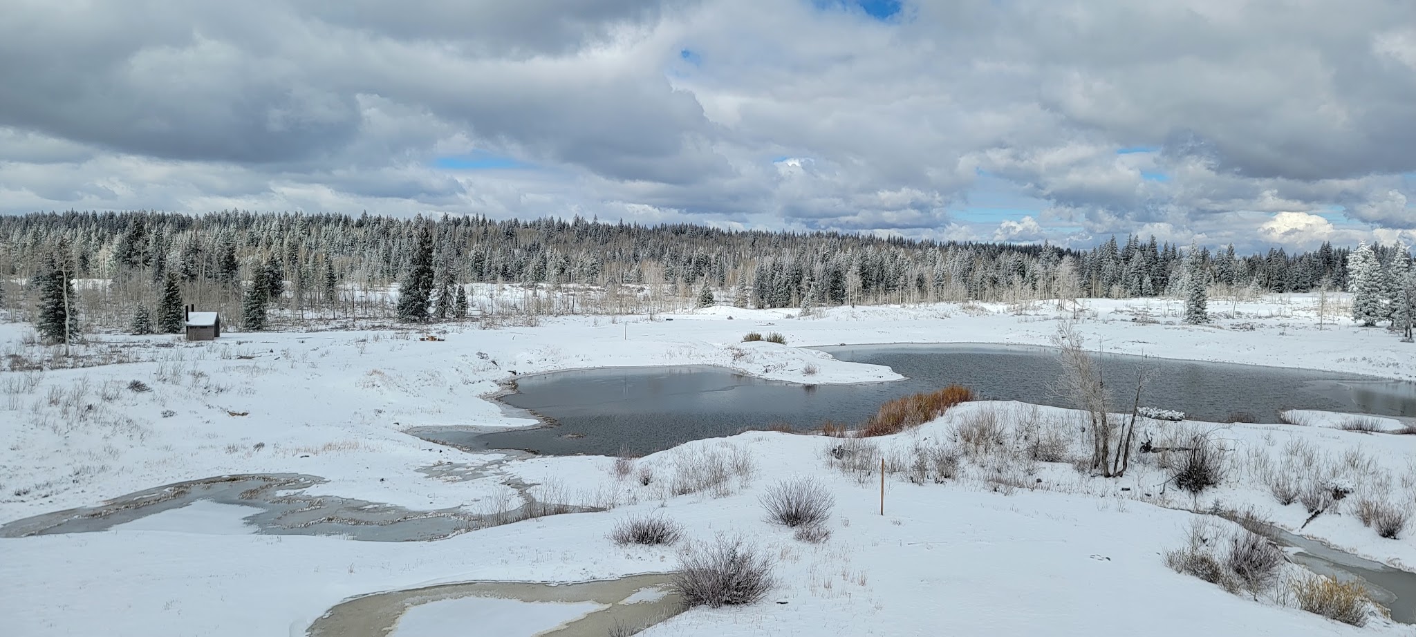Columbine Campground - Ouray Rd