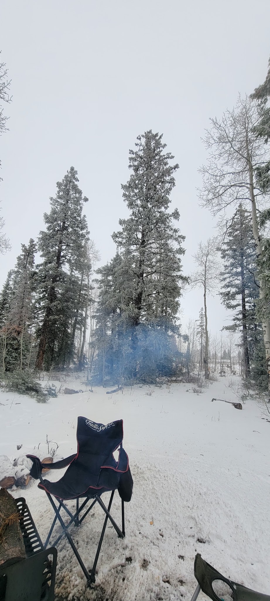 Columbine Campground - Ouray Rd