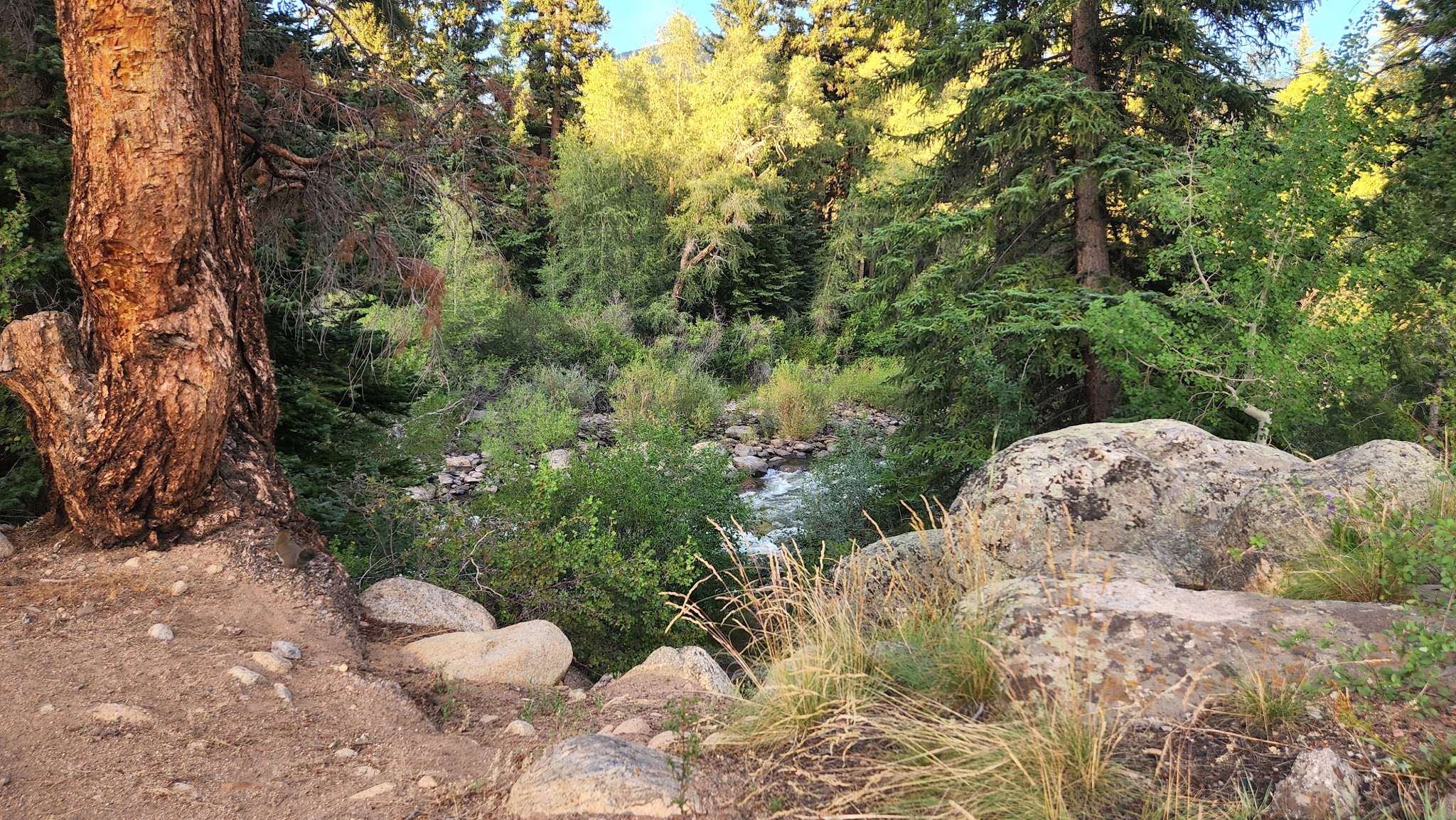 Columbine Landing Recreation Site
