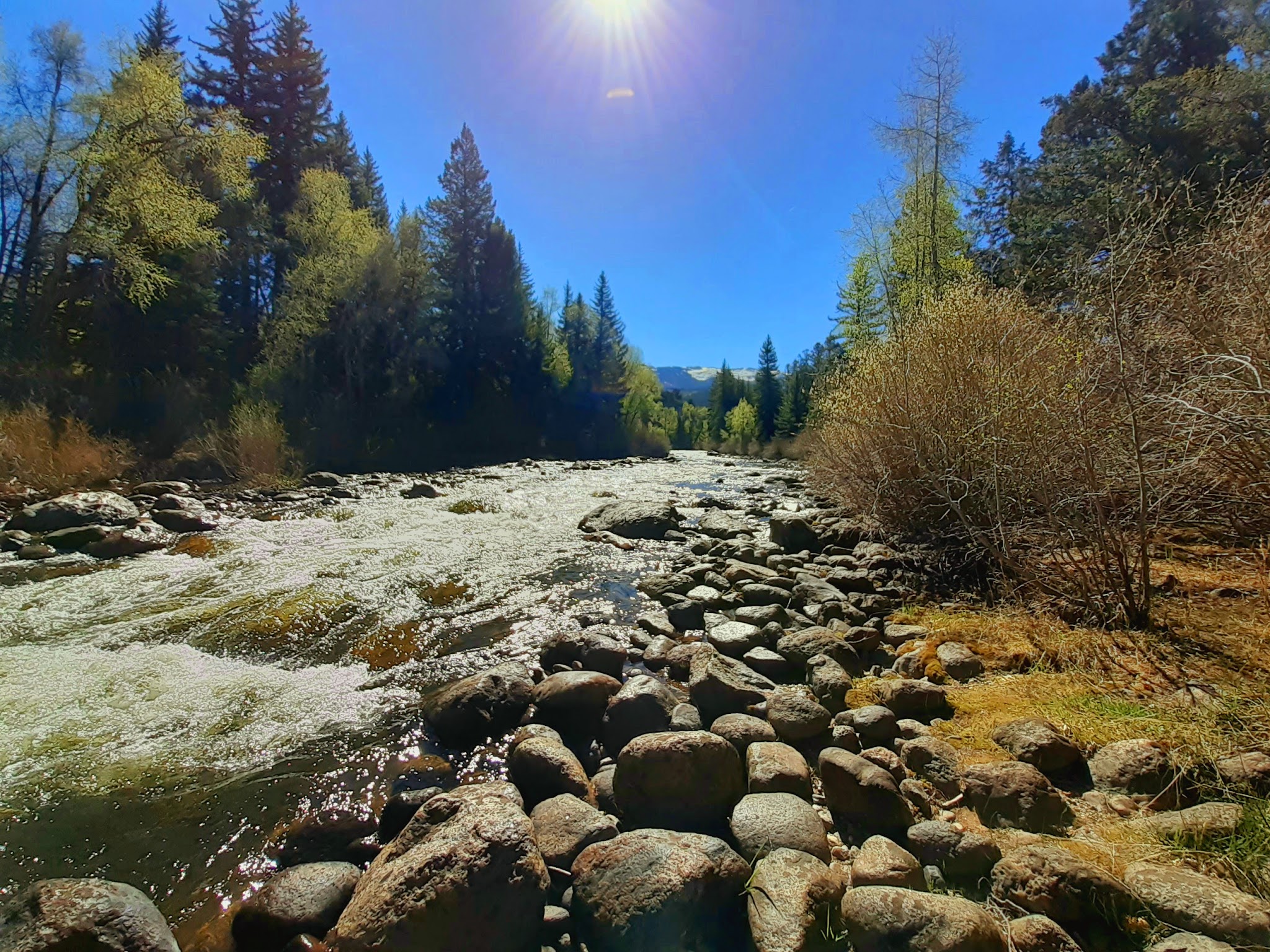 Columbine Landing Recreation Site