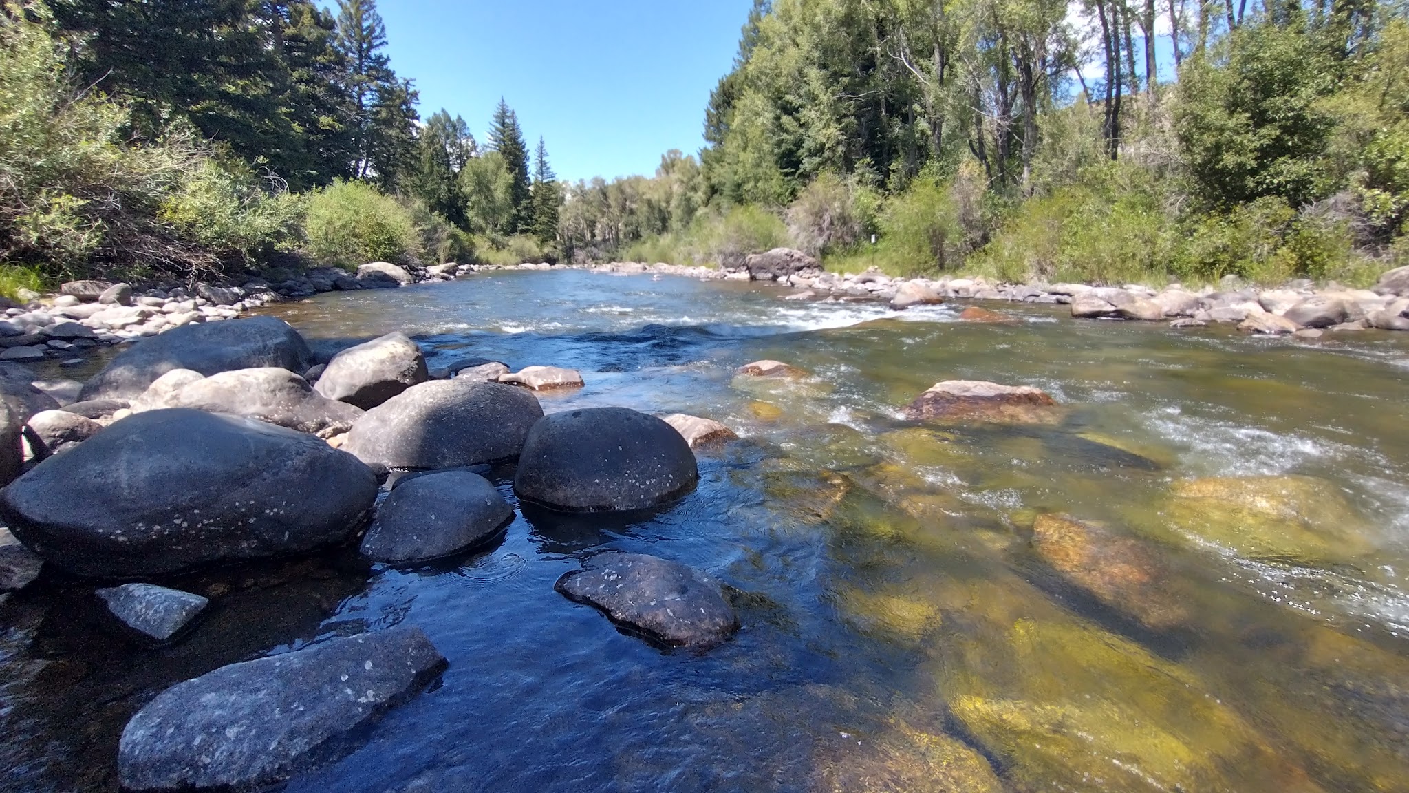 Columbine Landing Recreation Site