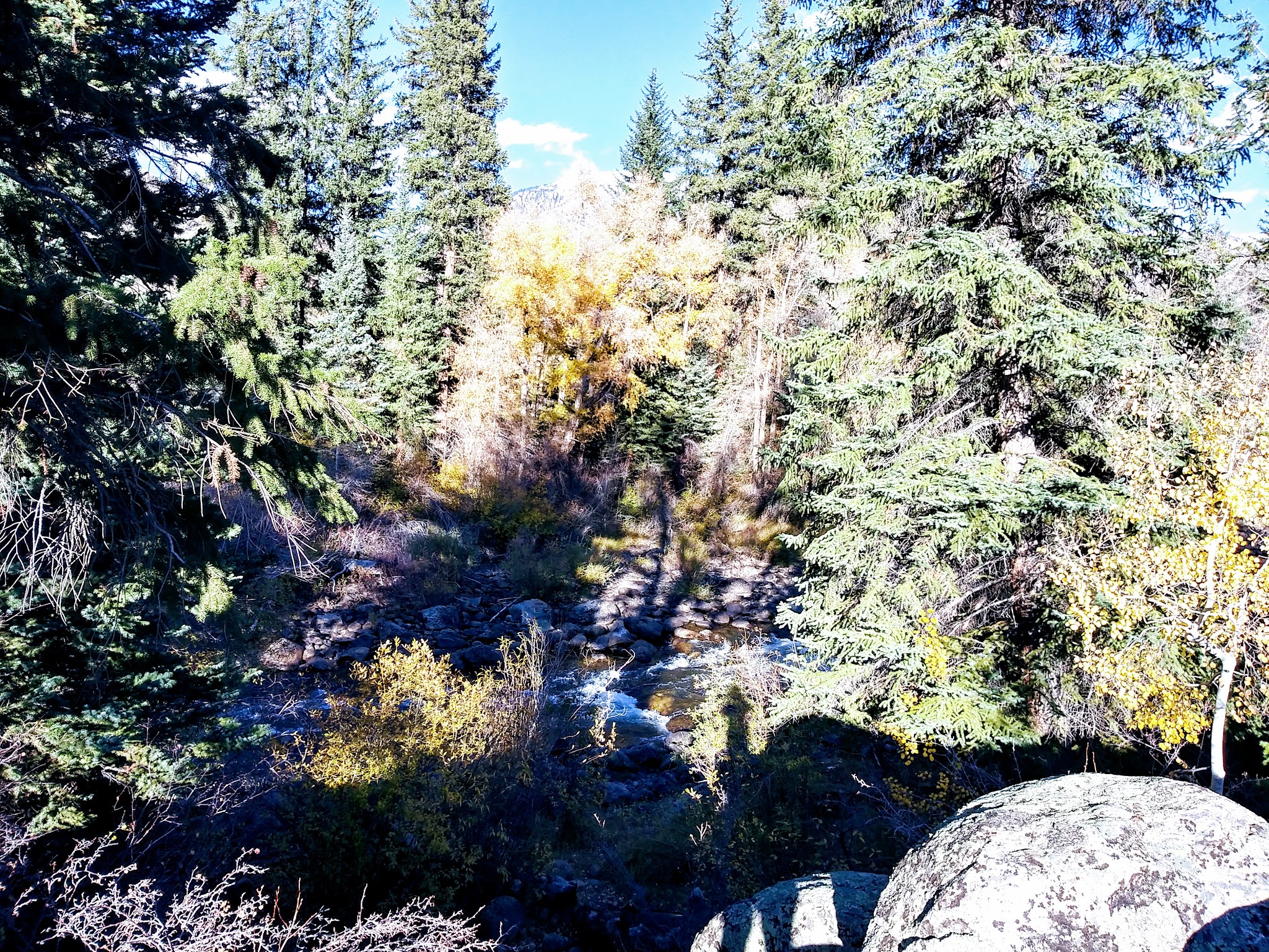 Columbine Landing Recreation Site