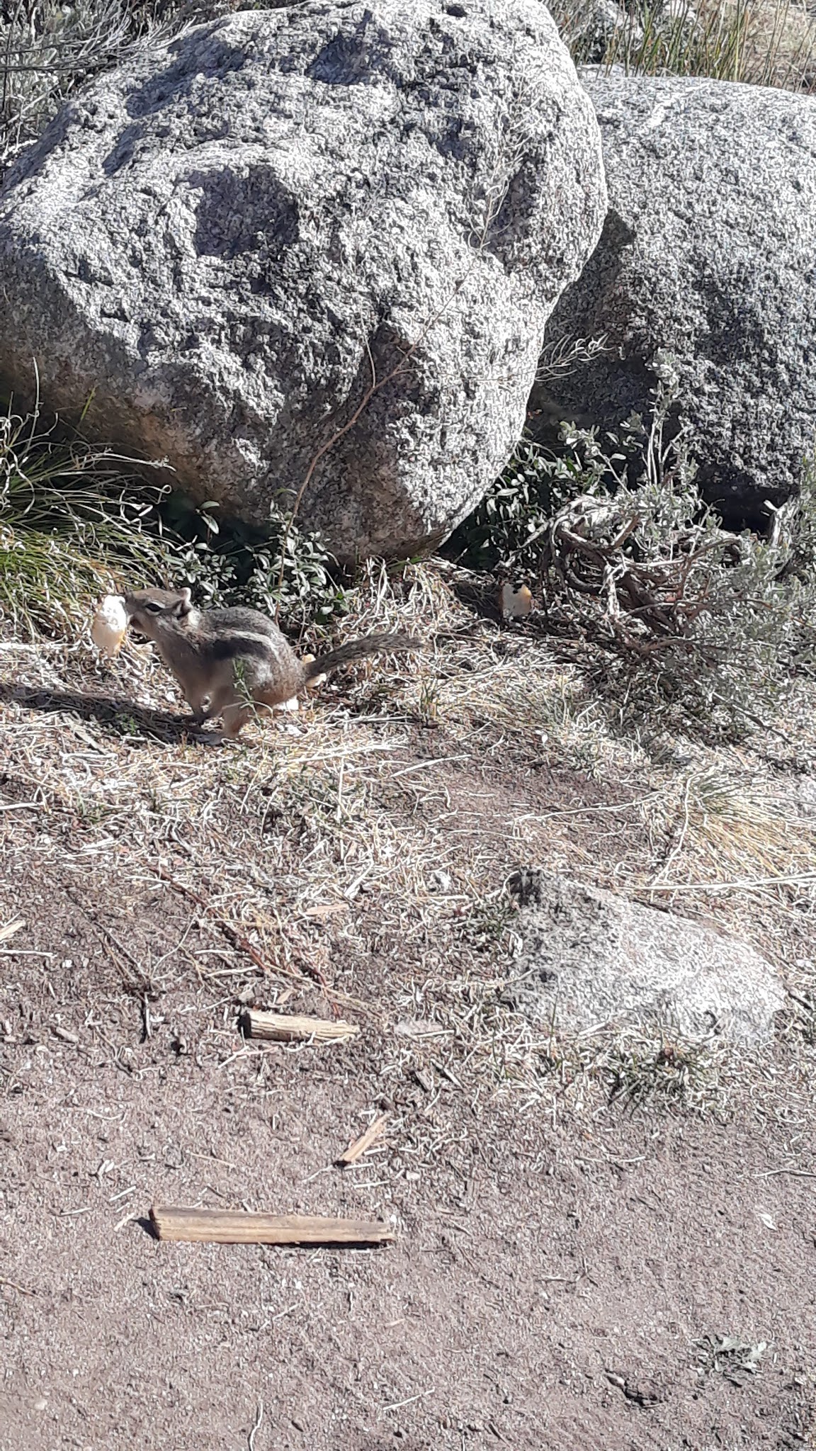 Columbine Landing Recreation Site