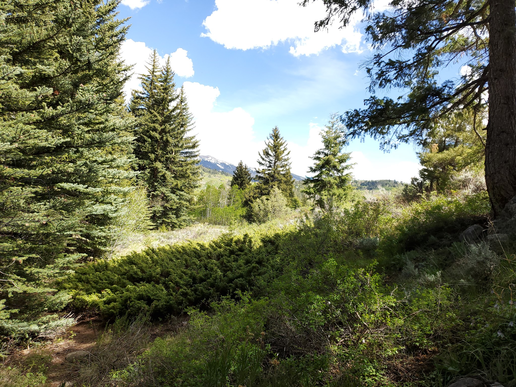 Columbine Landing Recreation Site