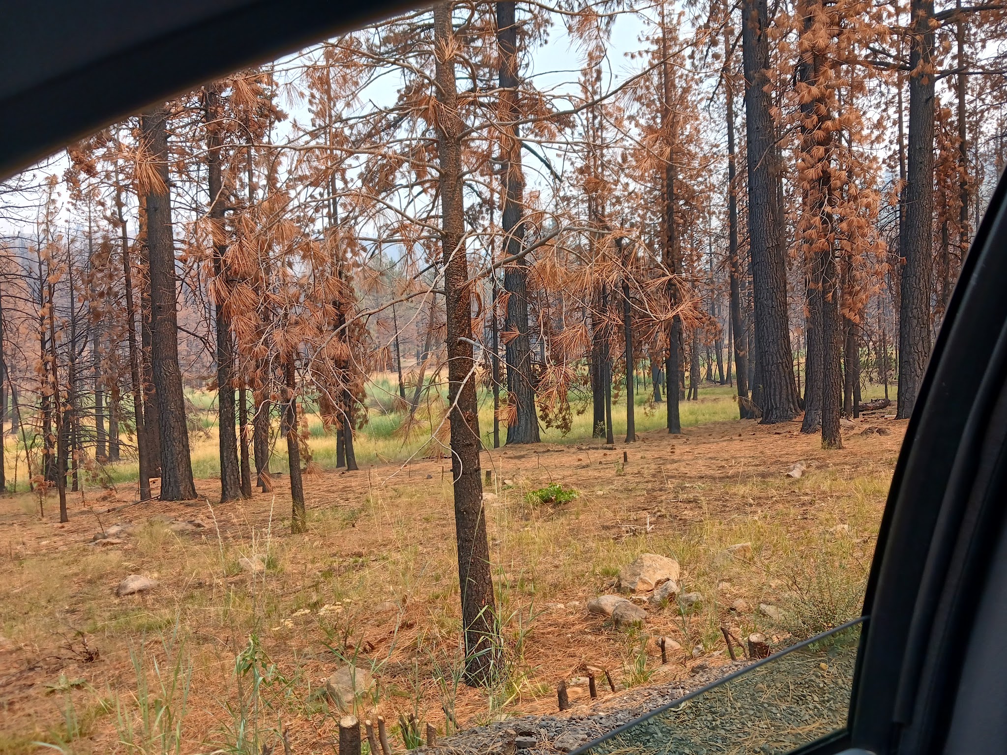 Conklin Park Campground