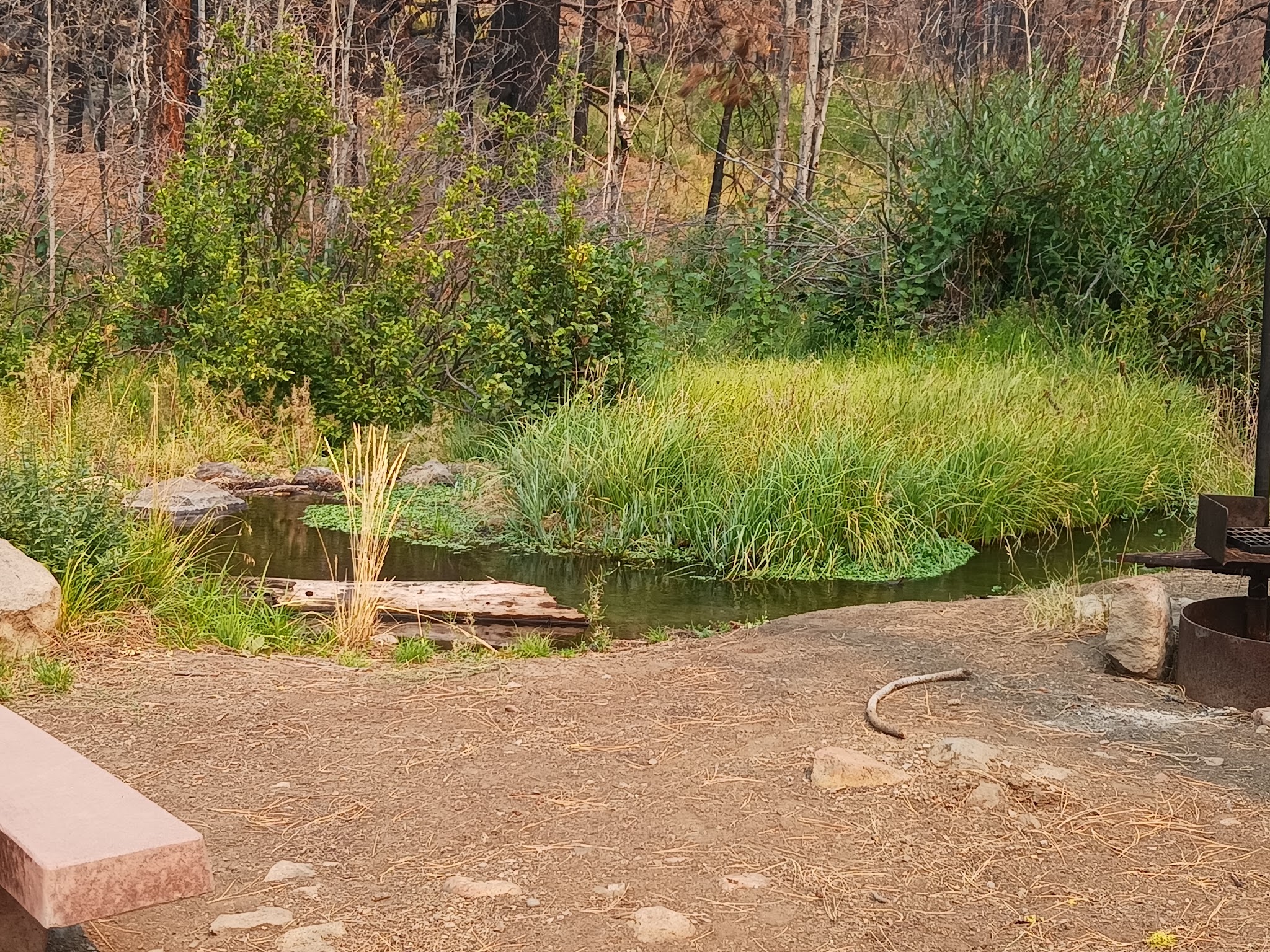 Conklin Park Campground