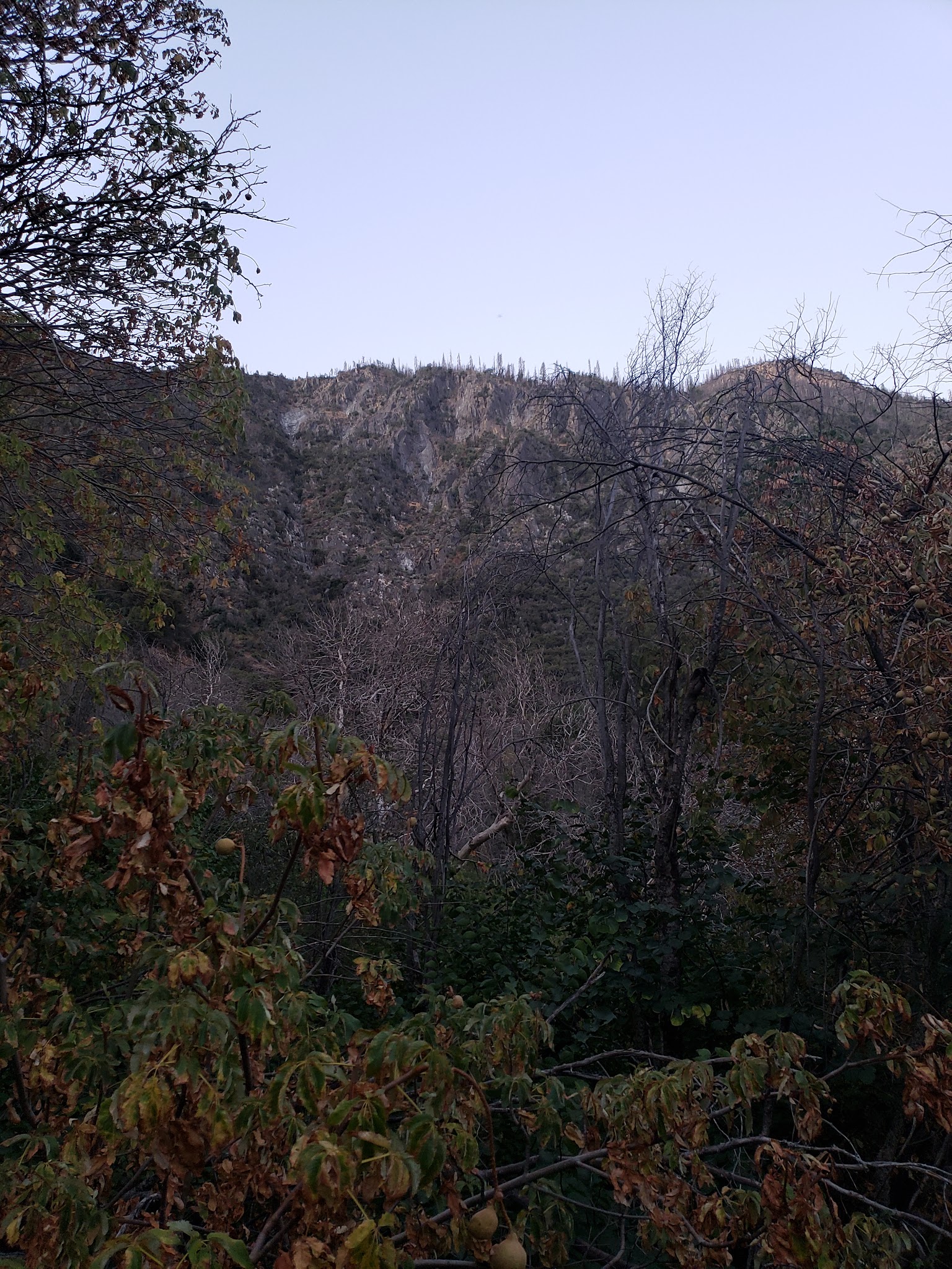 Convict Flat Campground