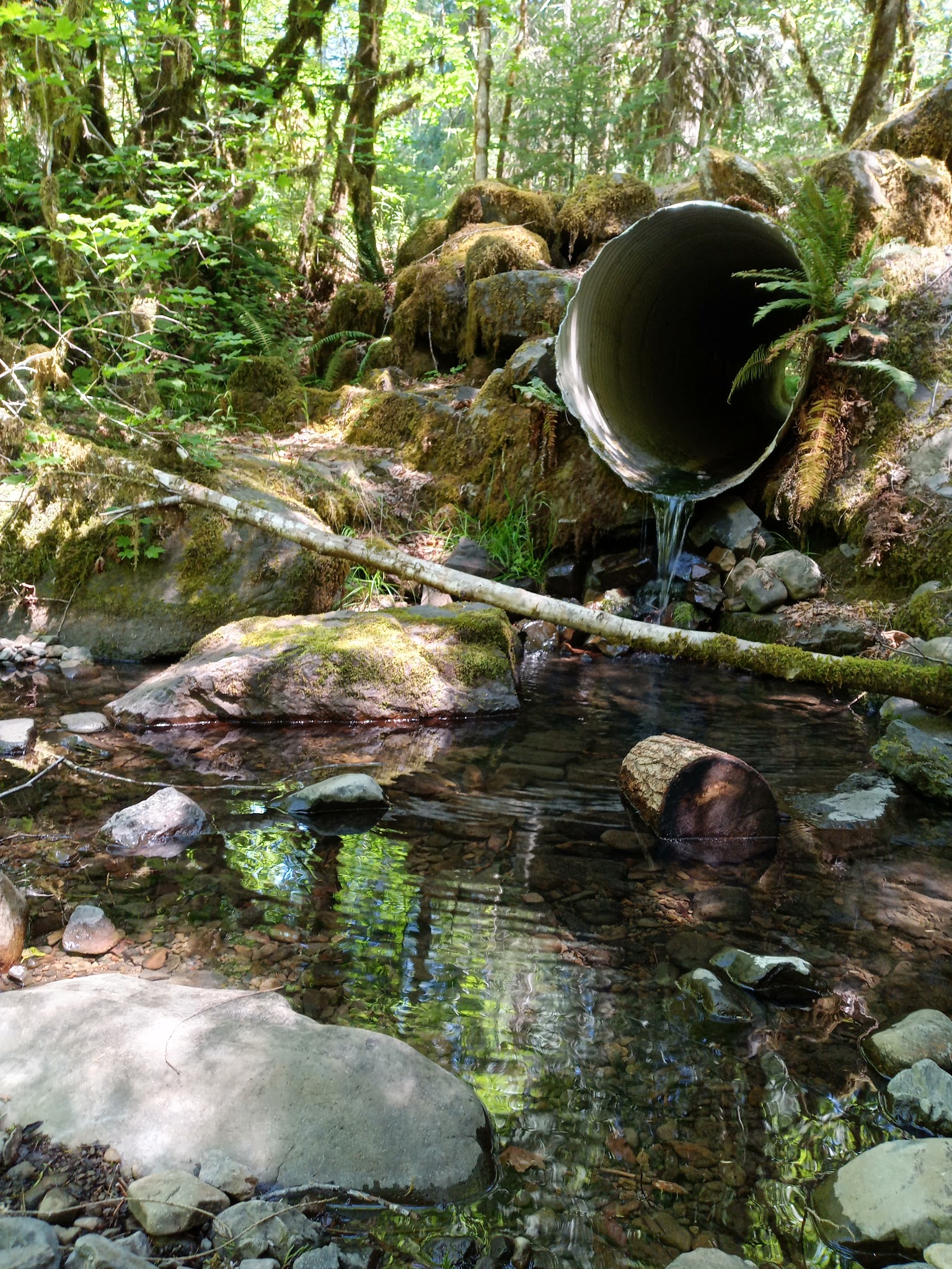 Coolwater Campground