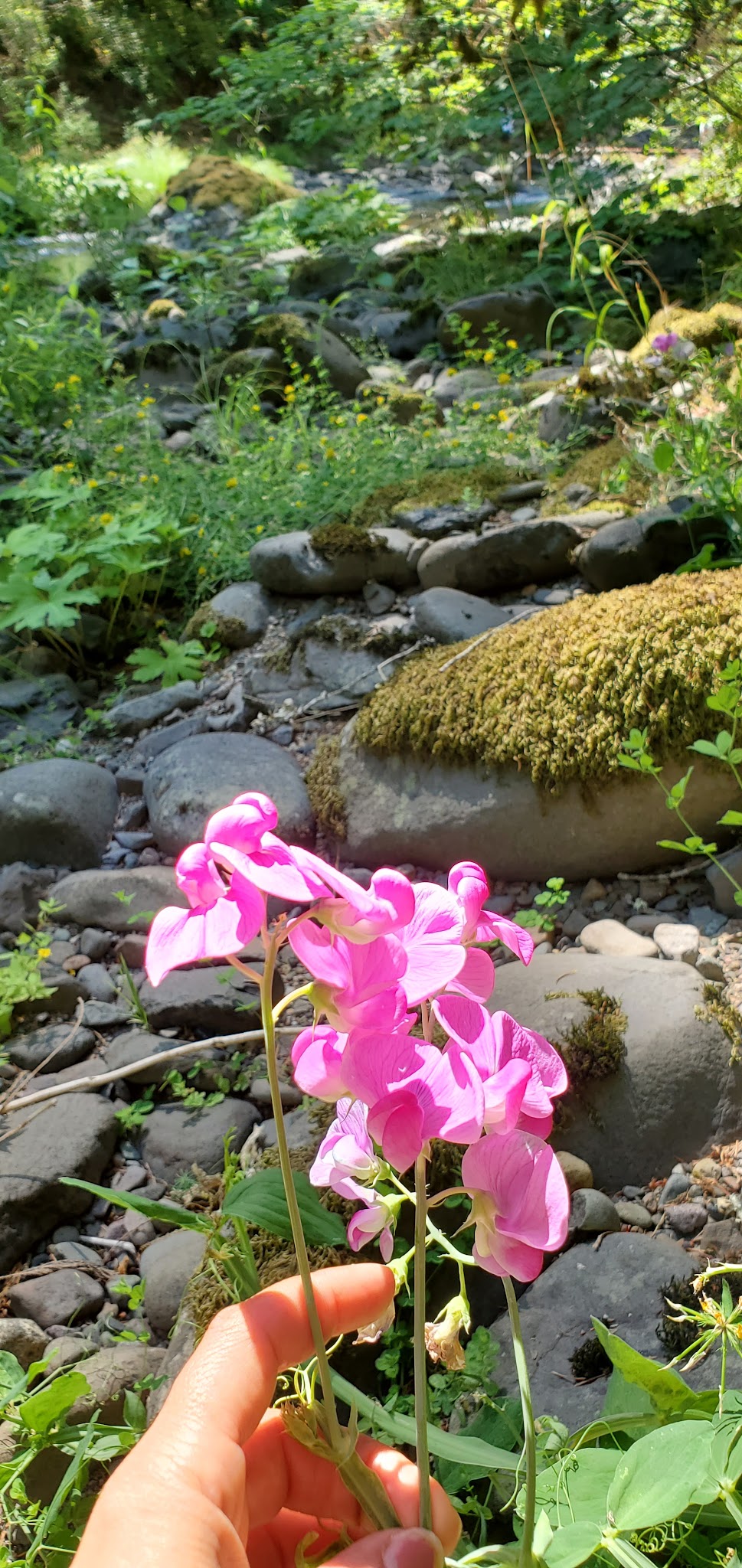 Coolwater Campground
