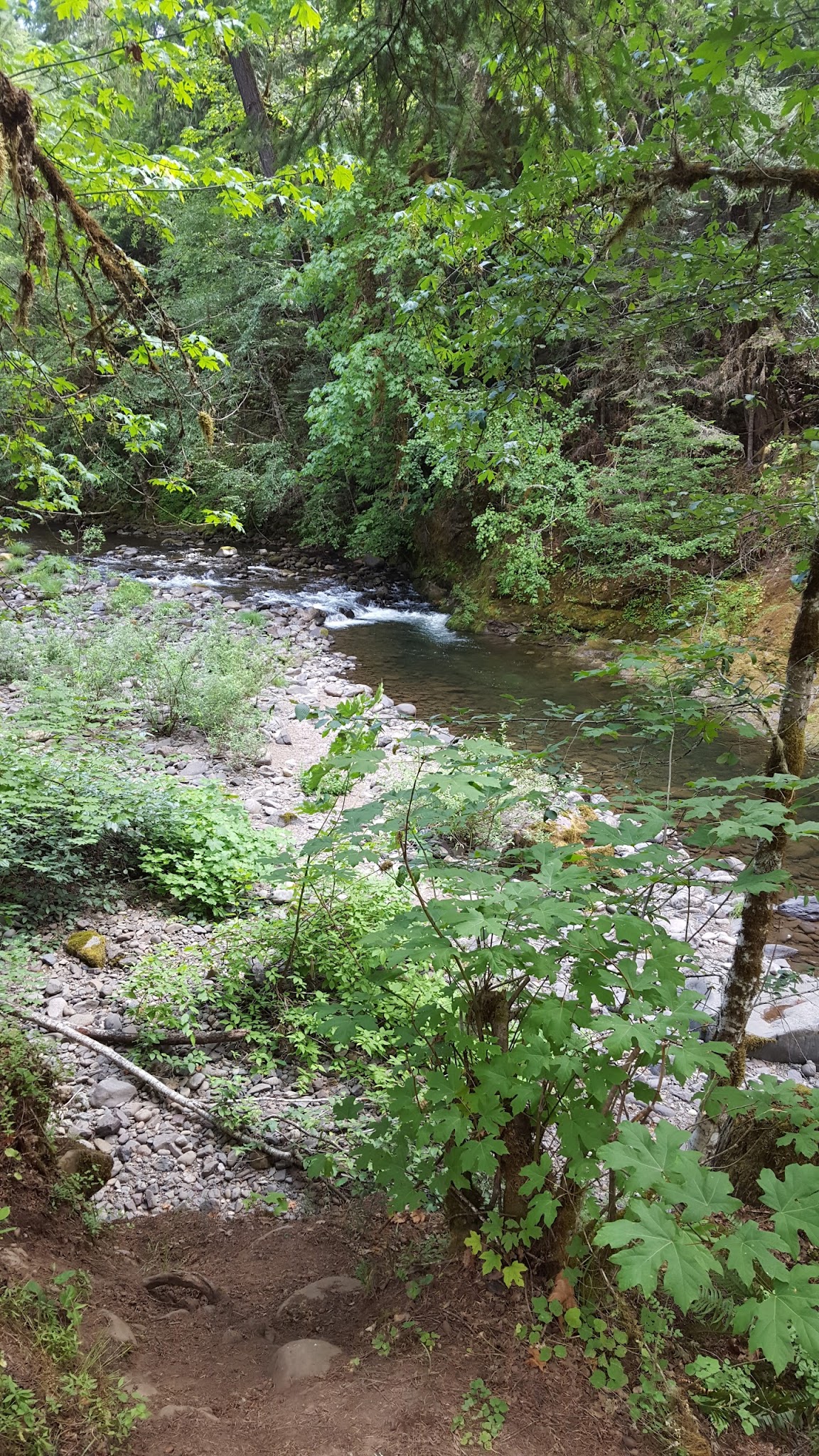 Coolwater Campground