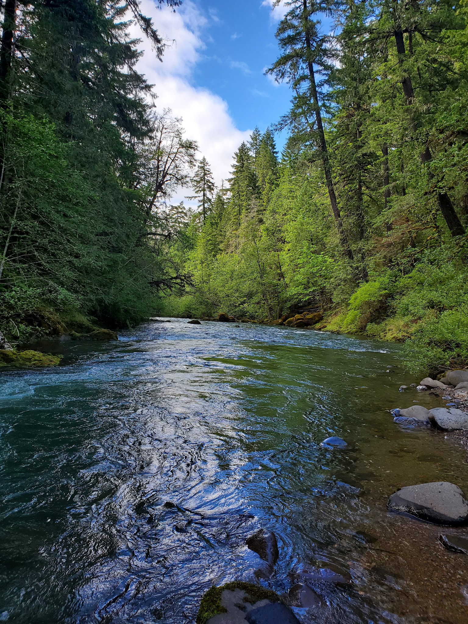 Coolwater Campground