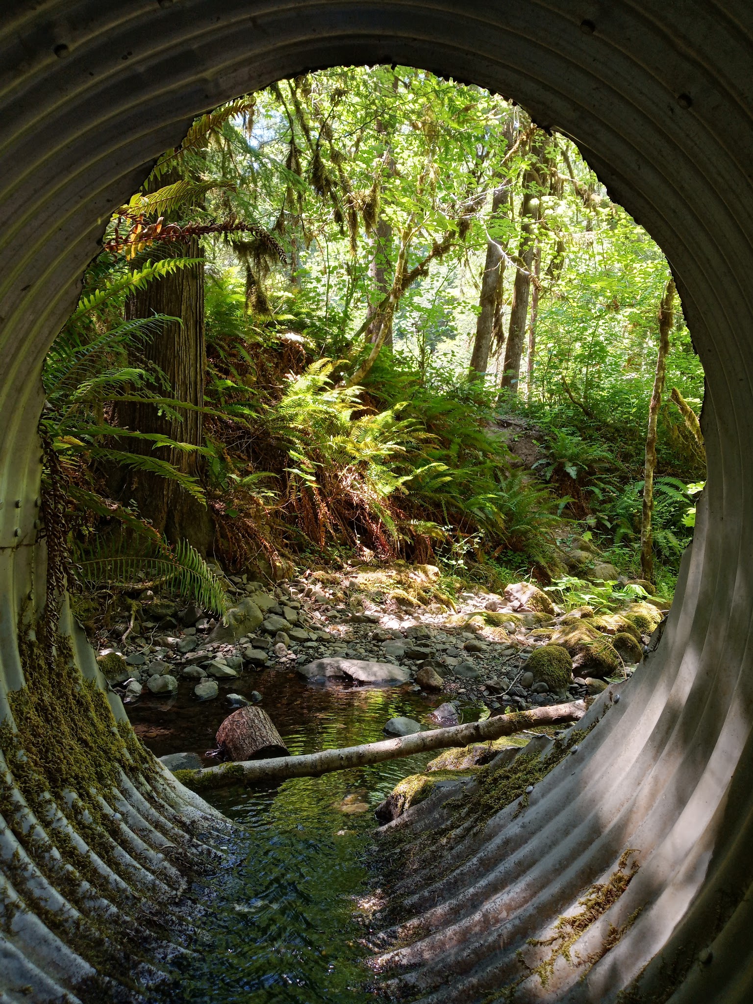 Coolwater Campground