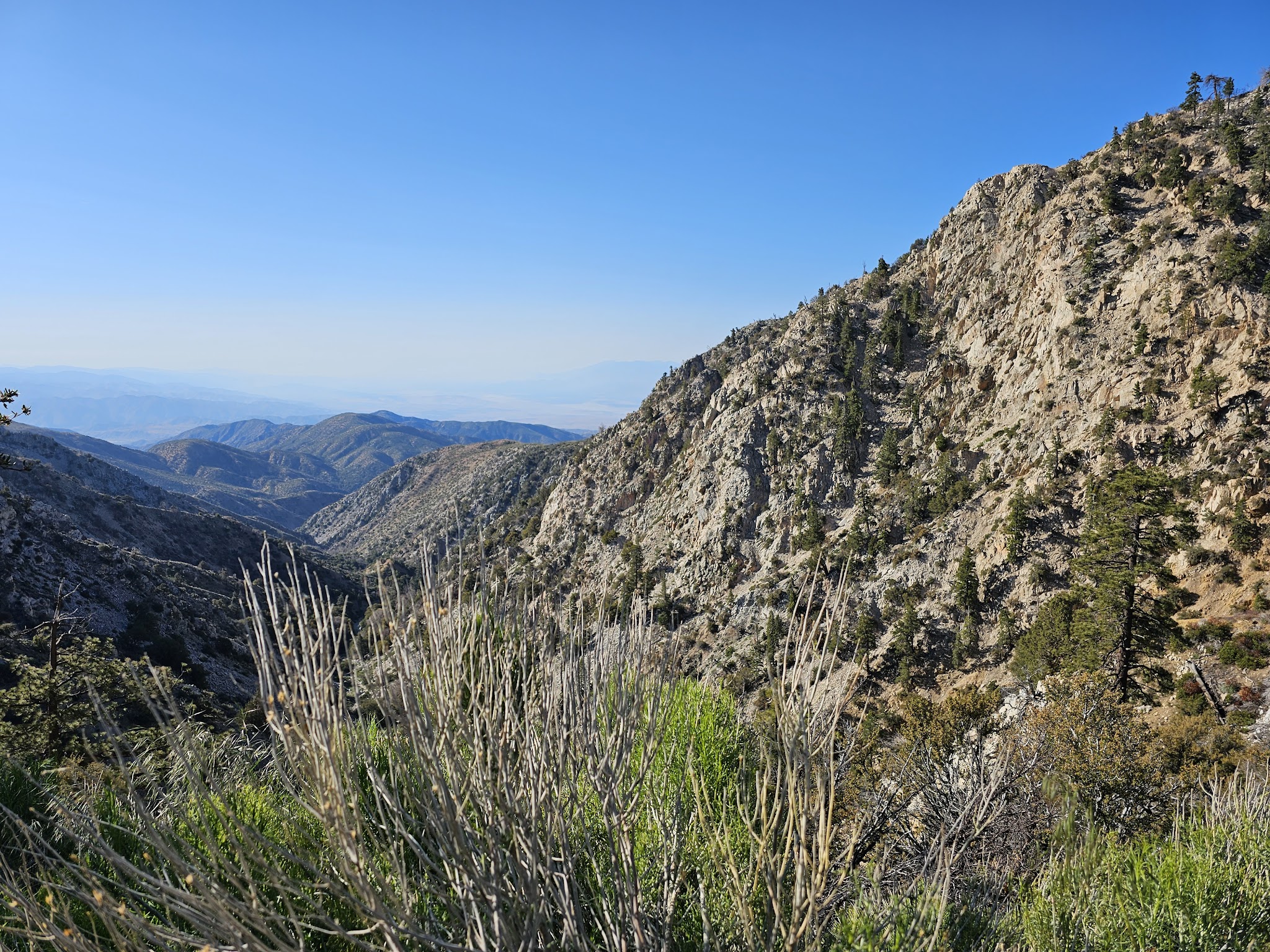 Coon Creek Cabin Group Campground