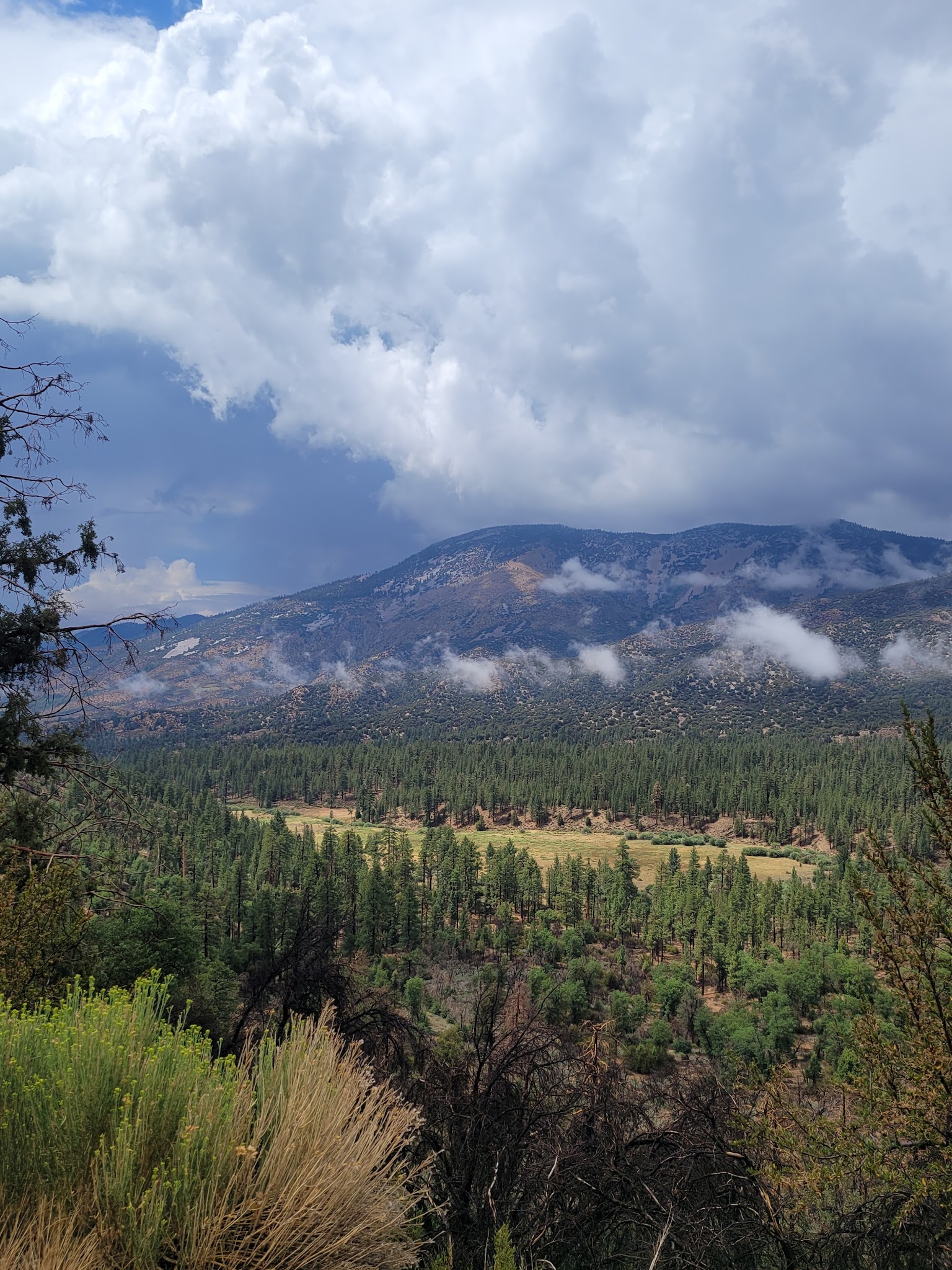 Coon Creek Cabin Group Campground