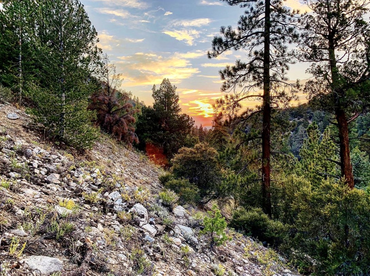 Coon Creek Cabin Group Campground