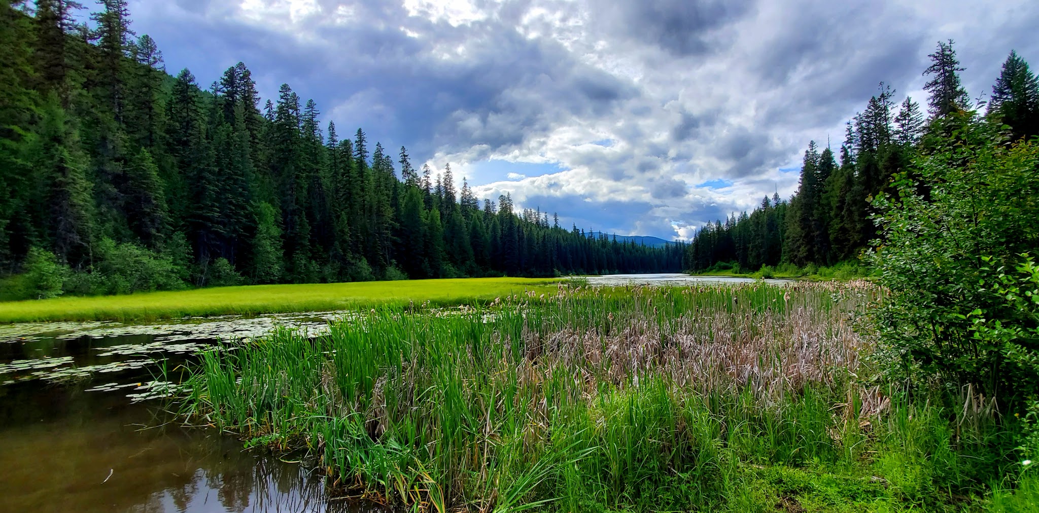 Loon Lake Campground