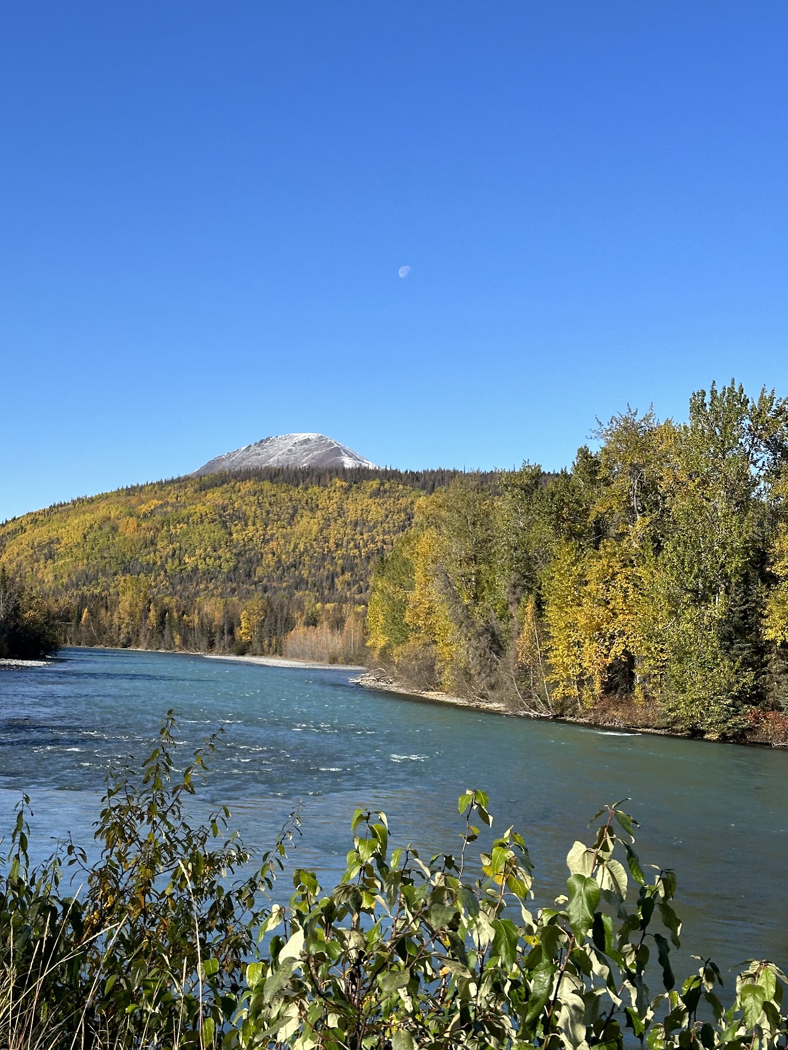 Cooper Creek South | AK | Camping Information & Reviews