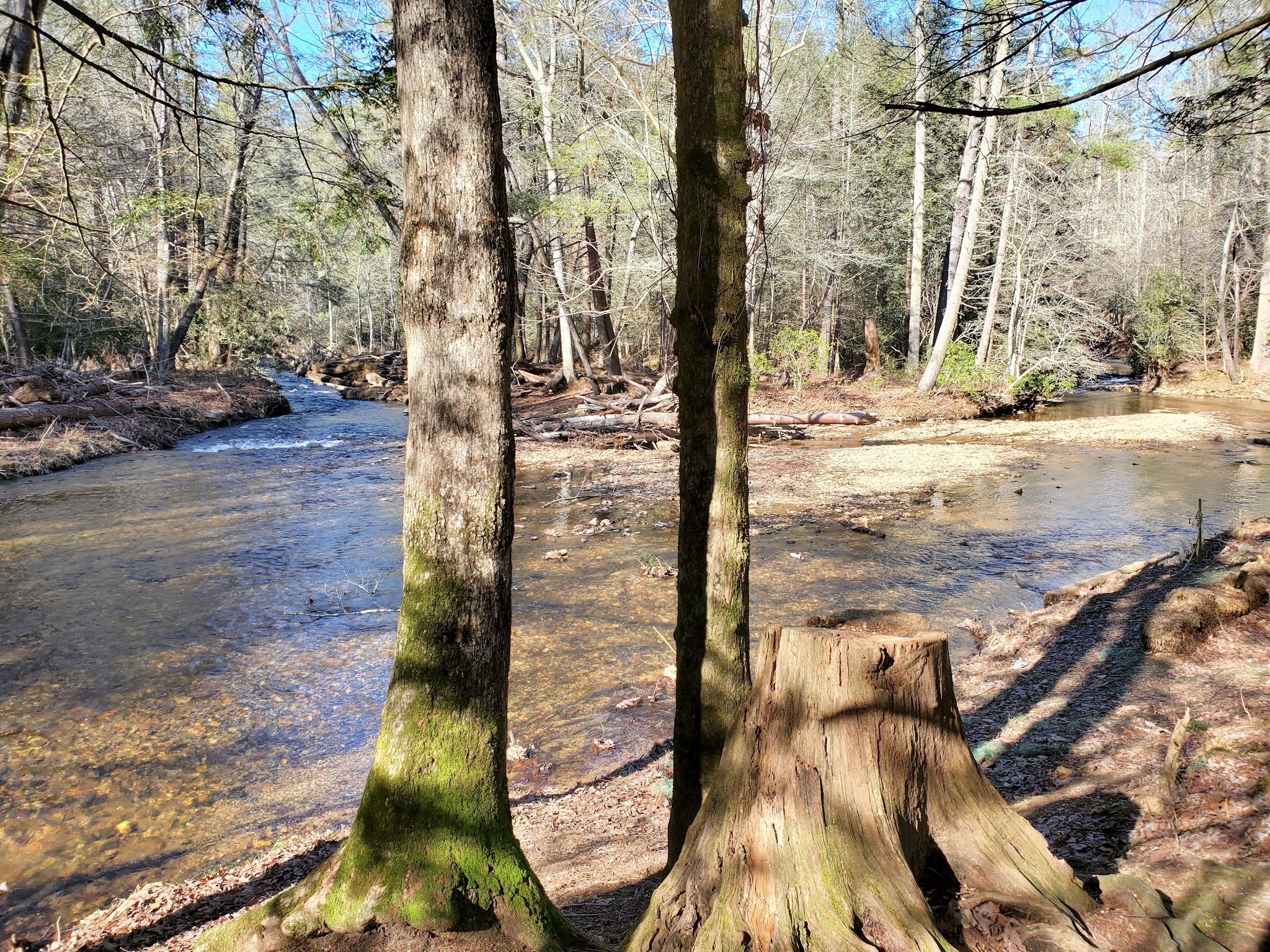 Cooper Creek Campground (Ga)