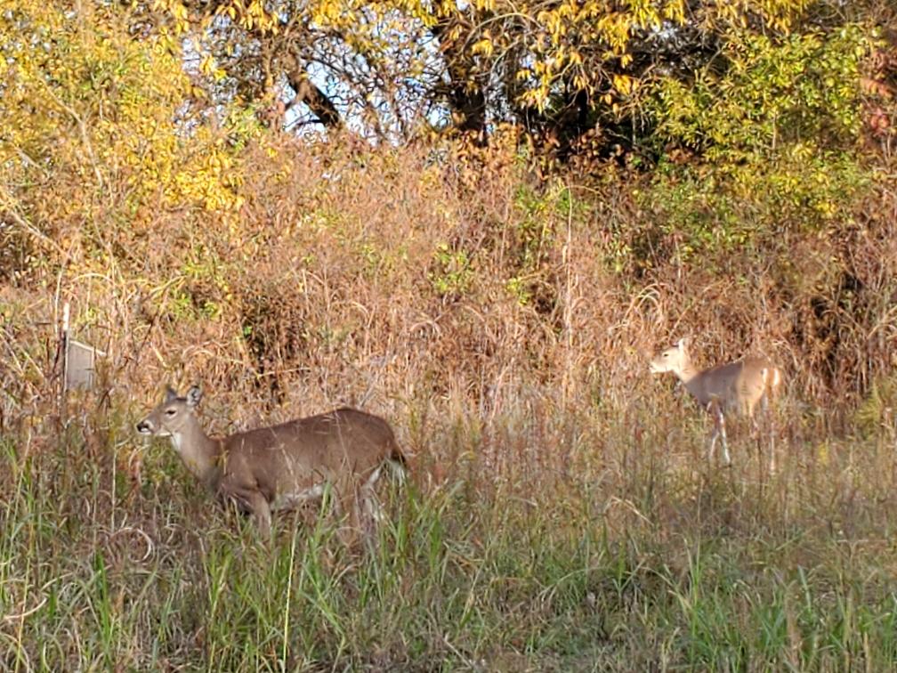 Cooper Lake State Park South Sulphur
