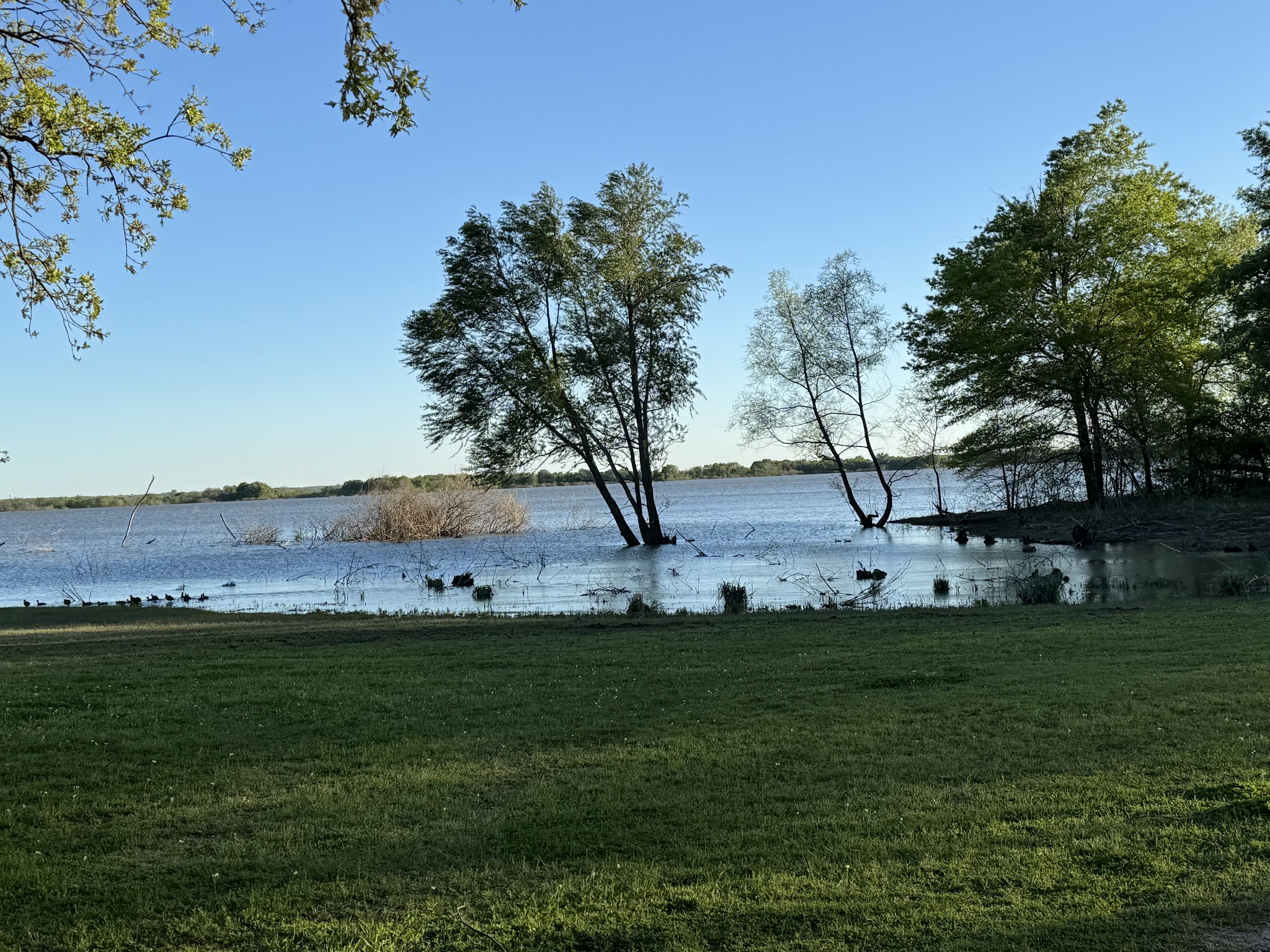 Cooper Lake State Park South Sulphur